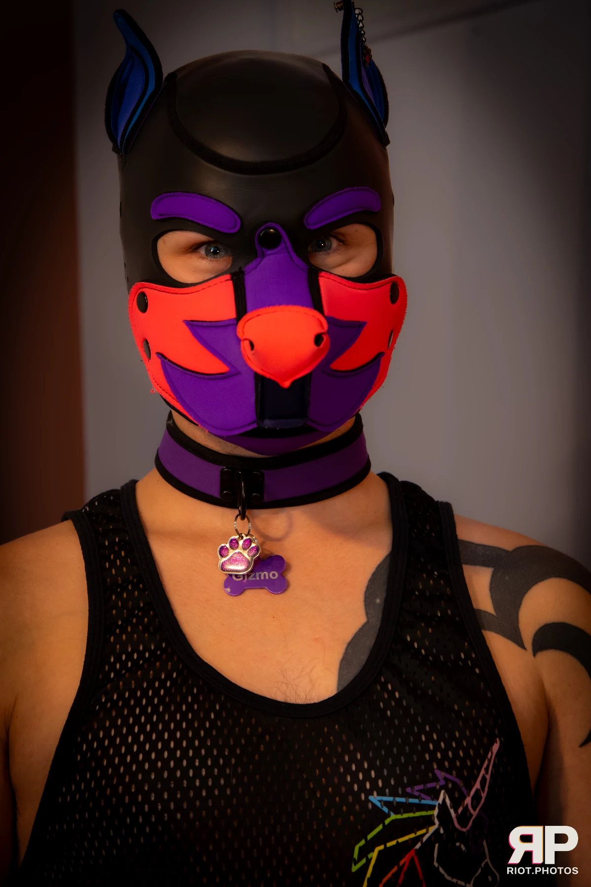 Doggy Weekend 2026 - 18 Oct 2026, Fluffy Riot photography - photo 517