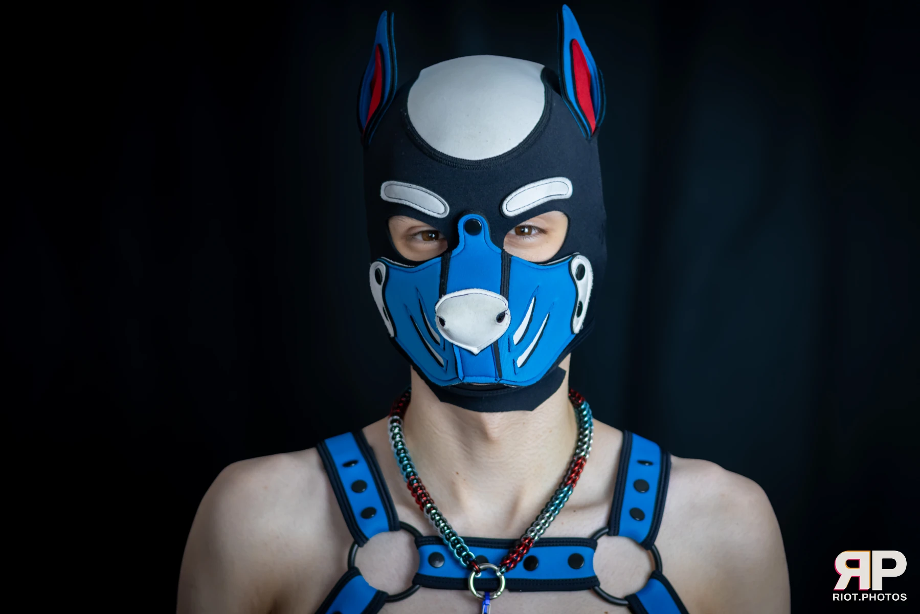 Pup Goofy — furry & pup photography by Fluffy Riot — photo 65