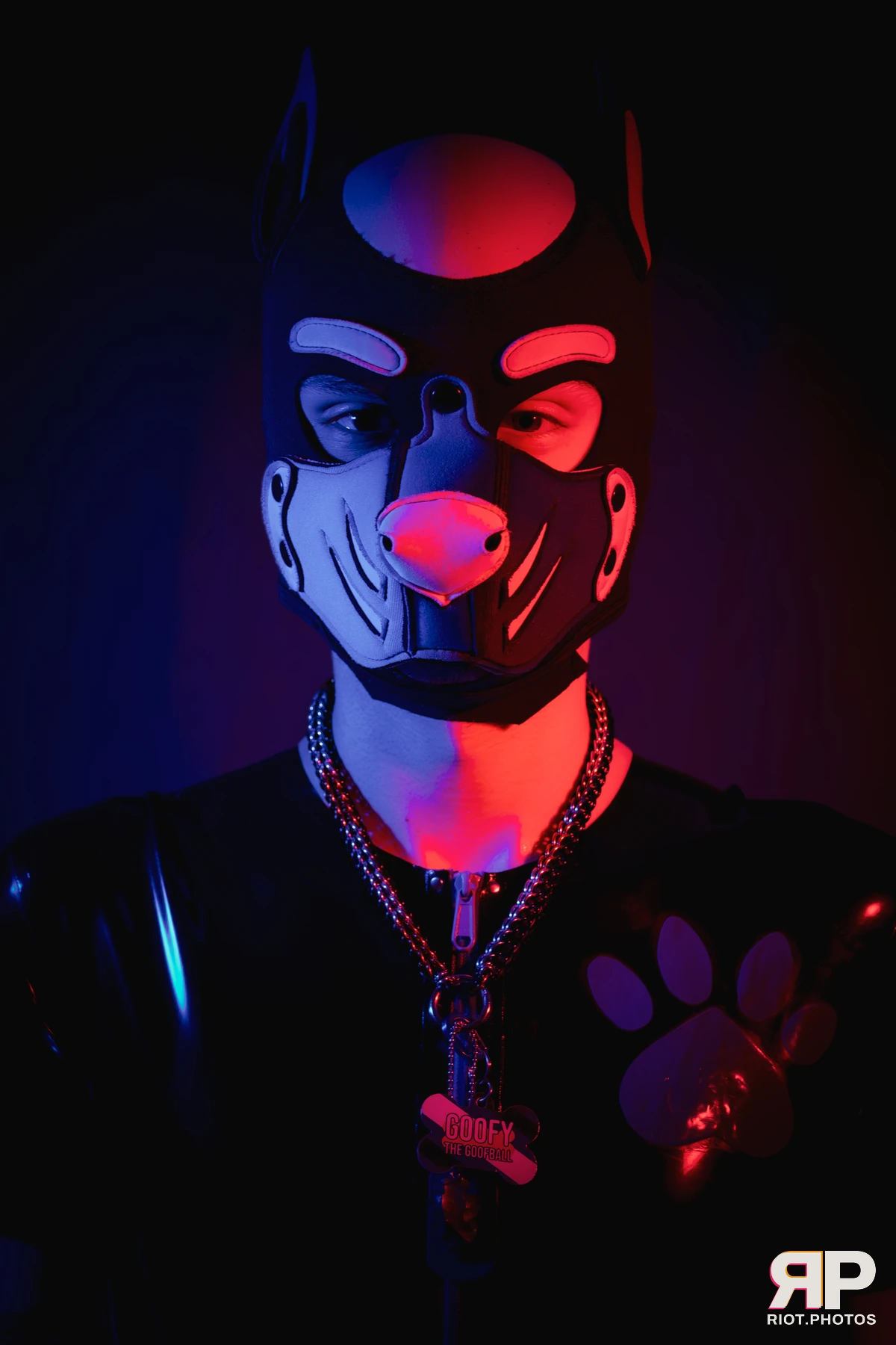 Pup Goofy — furry & pup photography by Fluffy Riot — photo 11