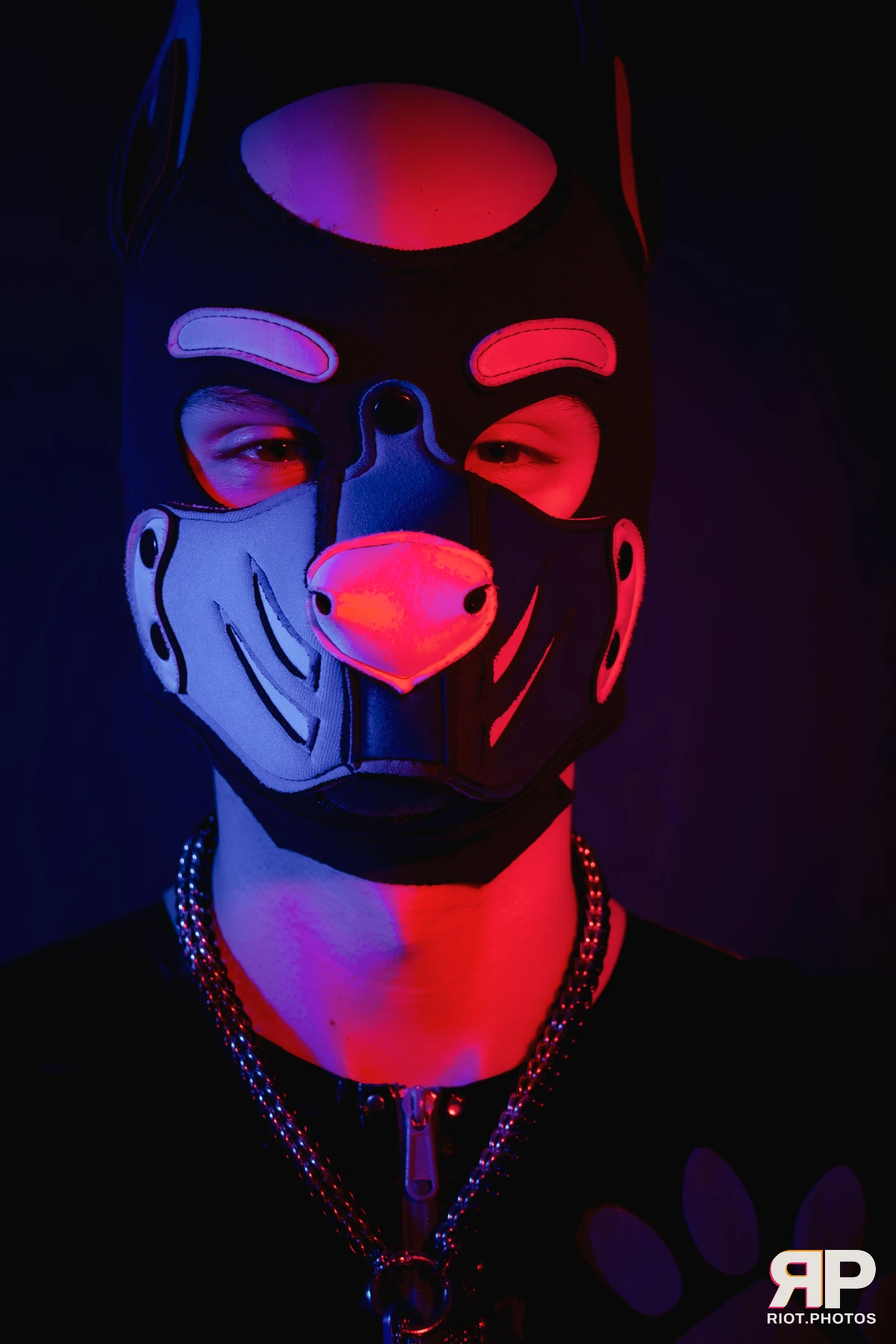 Pup Goofy — furry & pup photography by Fluffy Riot — photo 12