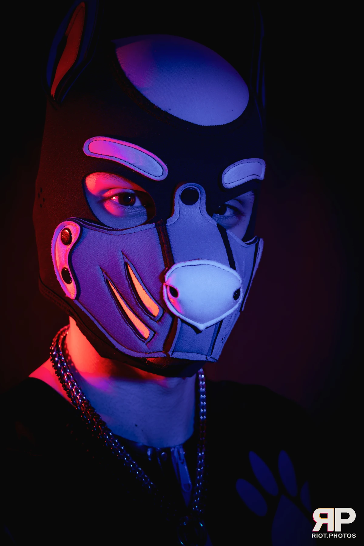 Pup Goofy — furry & pup photography by Fluffy Riot — photo 15
