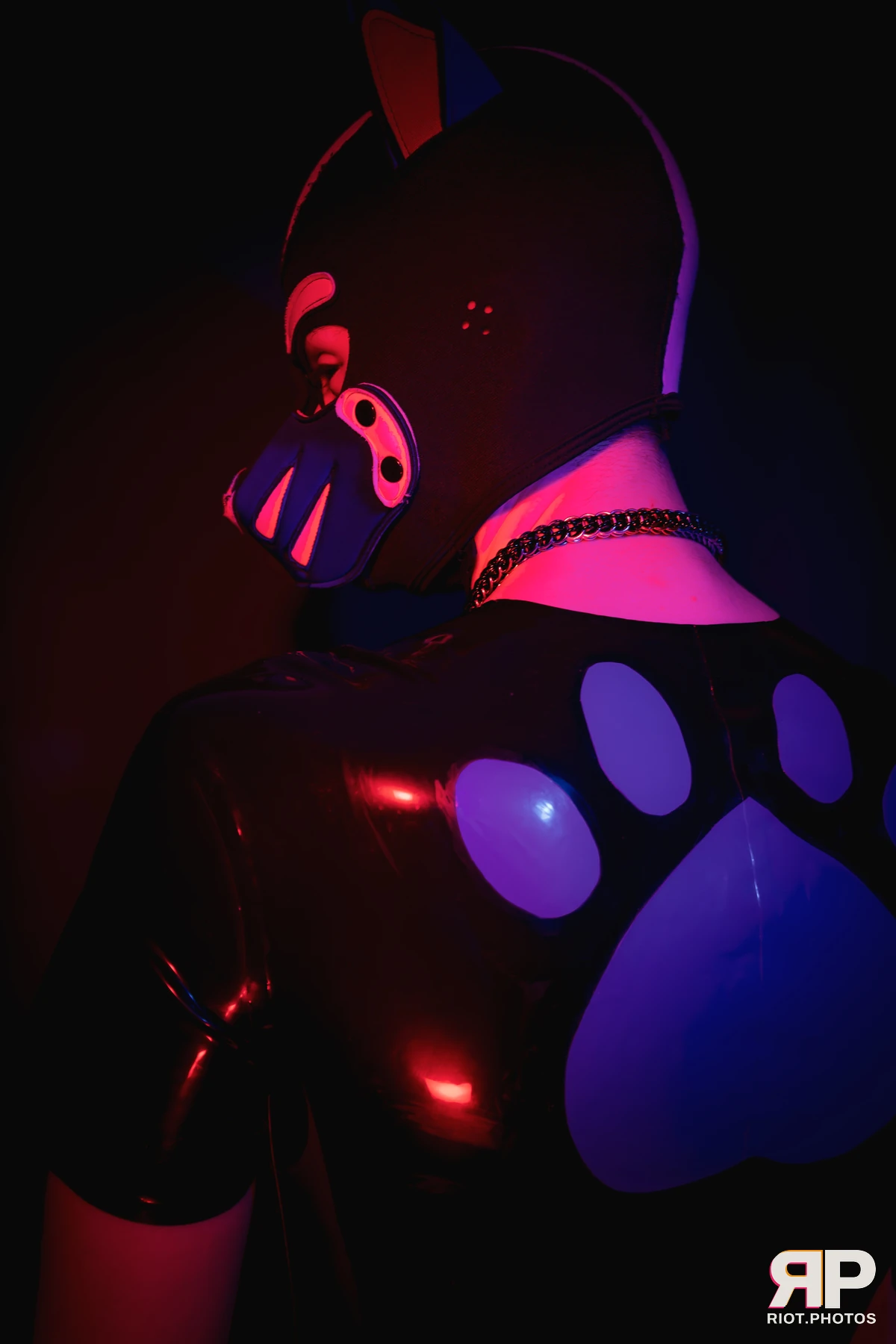 Pup Goofy — furry & pup photography by Fluffy Riot — photo 17