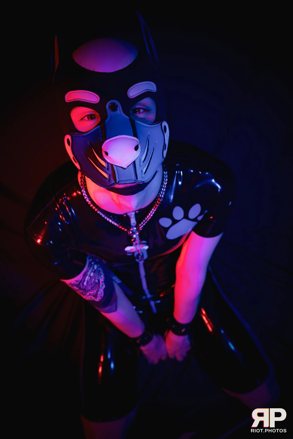 Pup Goofy — furry & pup photography by Fluffy Riot — photo 20