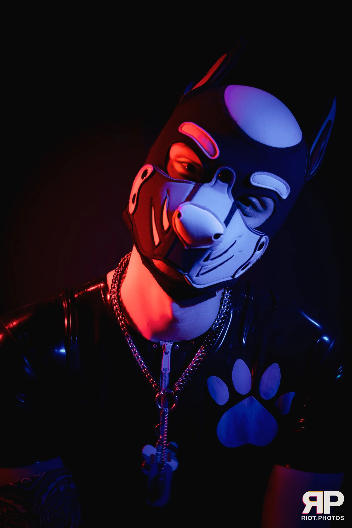 Pup Goofy — furry & pup photography by Fluffy Riot — photo 21