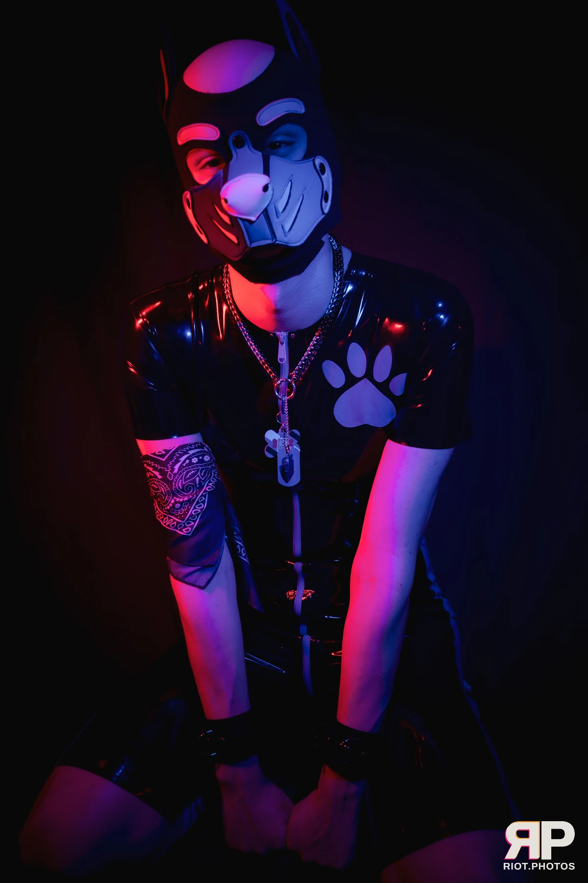 Pup Goofy — furry & pup photography by Fluffy Riot — photo 22