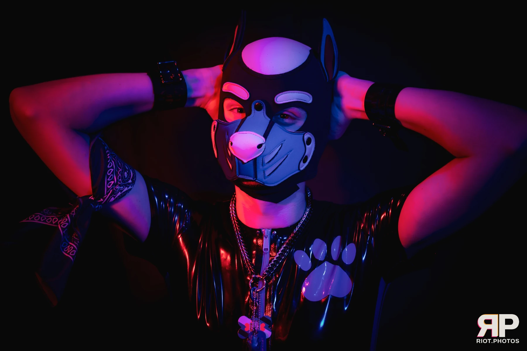 Pup Goofy — furry & pup photography by Fluffy Riot — photo 23