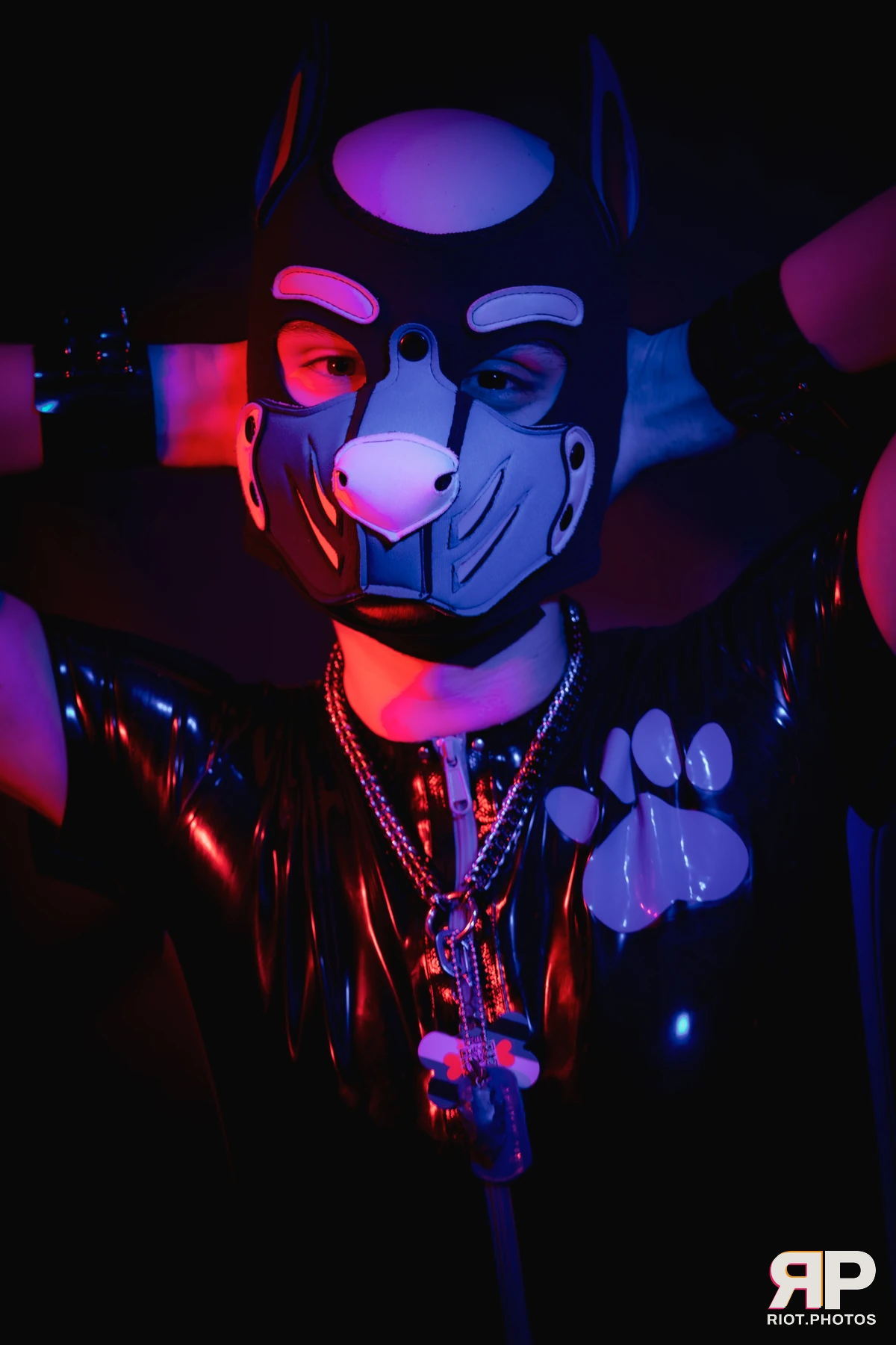 Pup Goofy — furry & pup photography by Fluffy Riot — photo 24