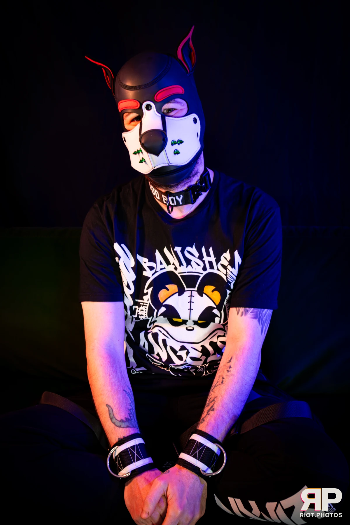 Pup Gremlin — furry & pup photography by Fluffy Riot — photo 2