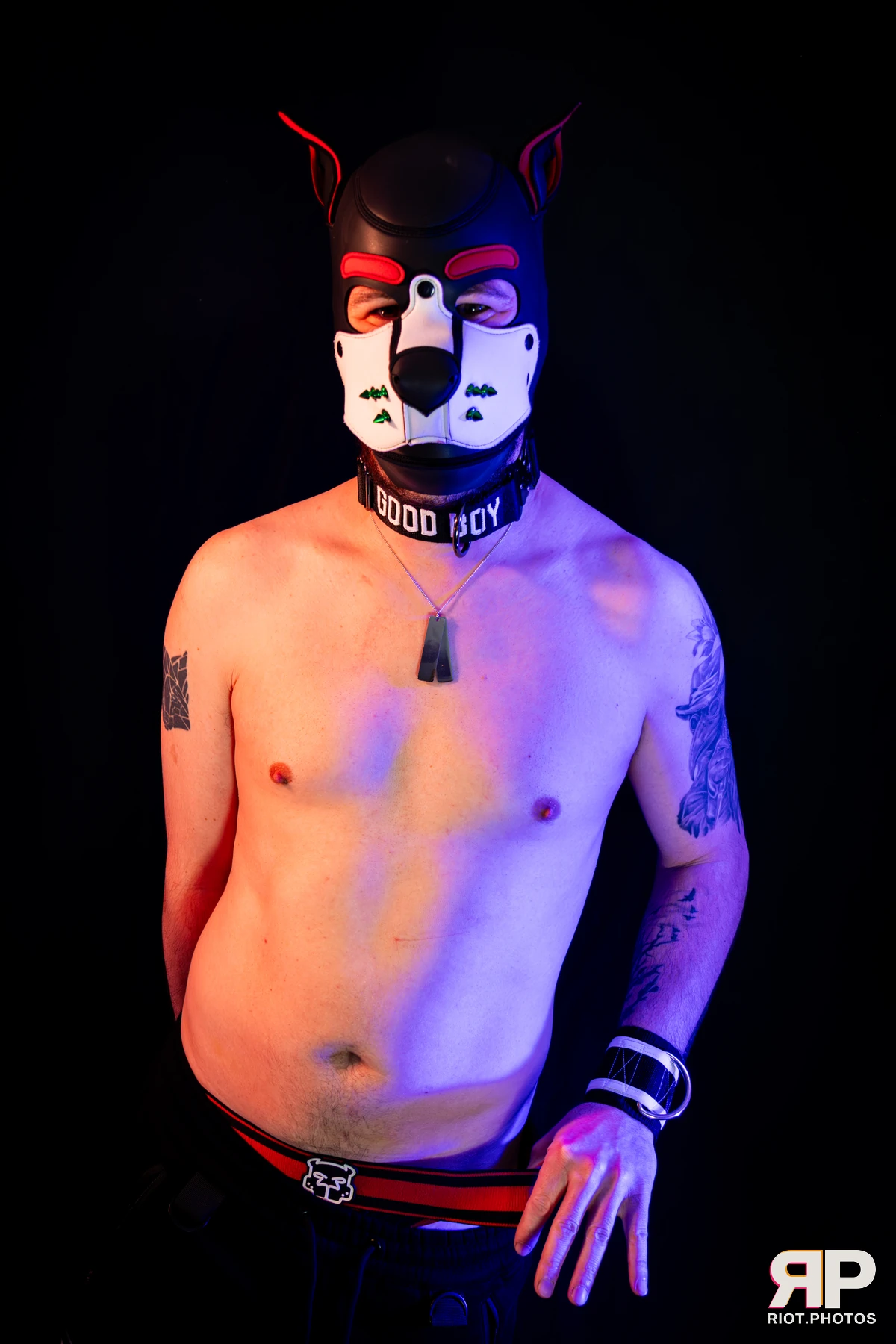 Pup Gremlin — furry & pup photography by Fluffy Riot — photo 12