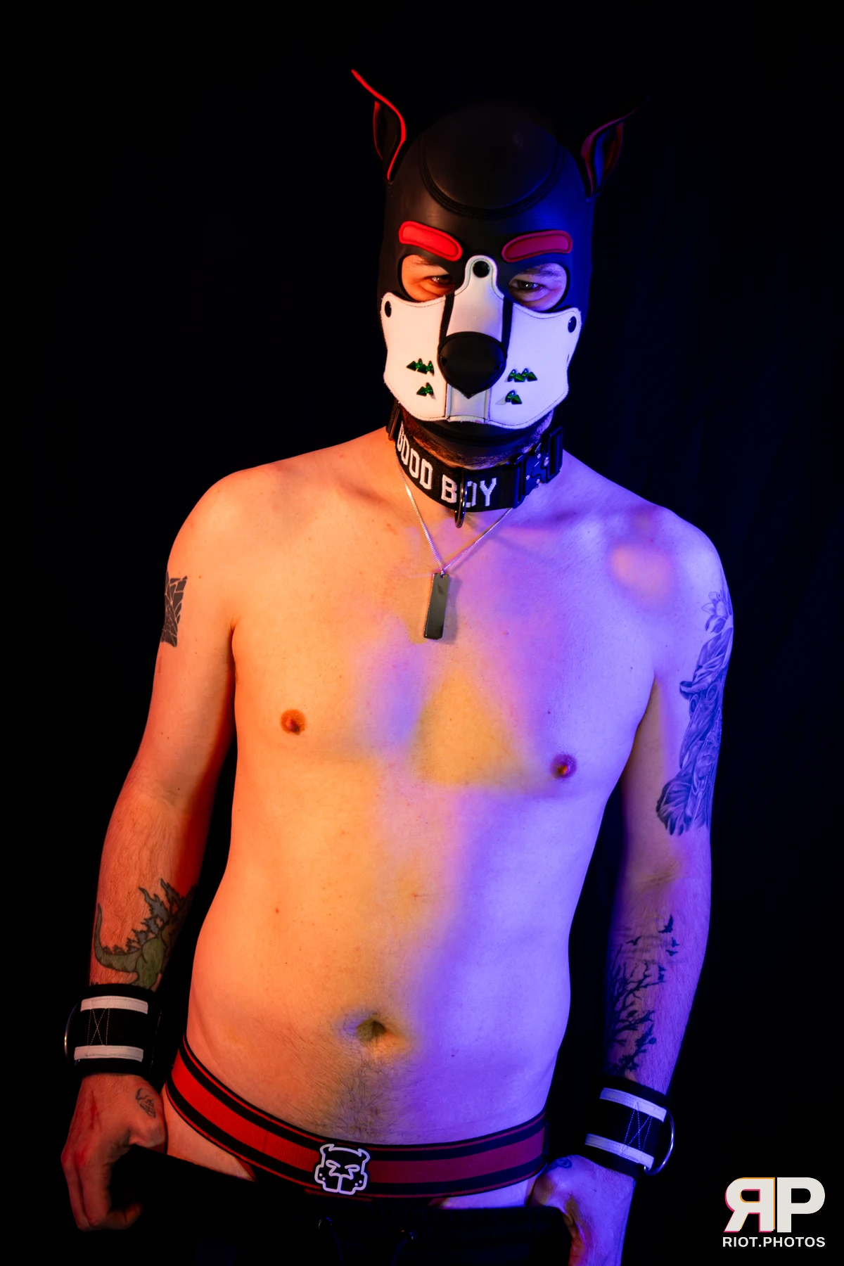 Pup Gremlin — furry & pup photography by Fluffy Riot — photo 13