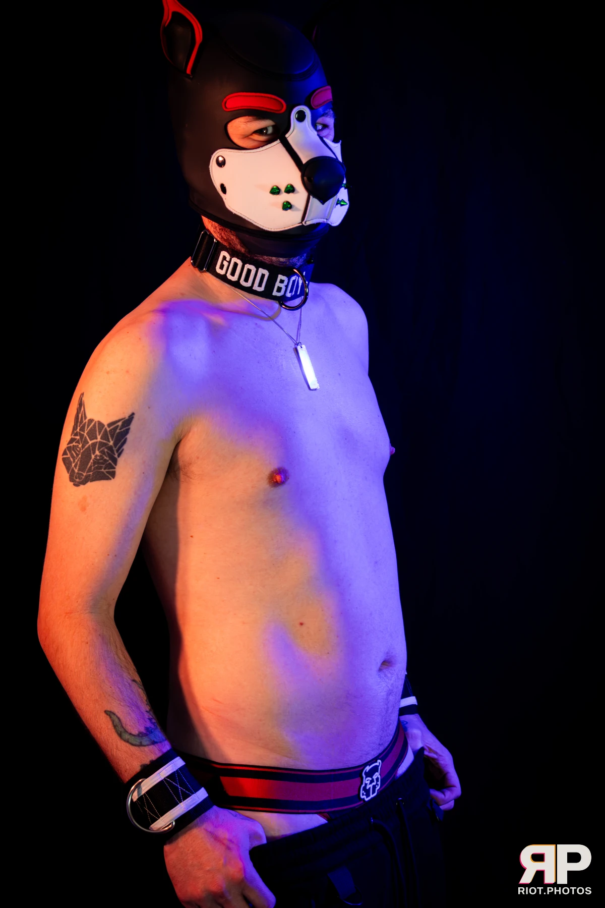 Pup Gremlin — furry & pup photography by Fluffy Riot — photo 14