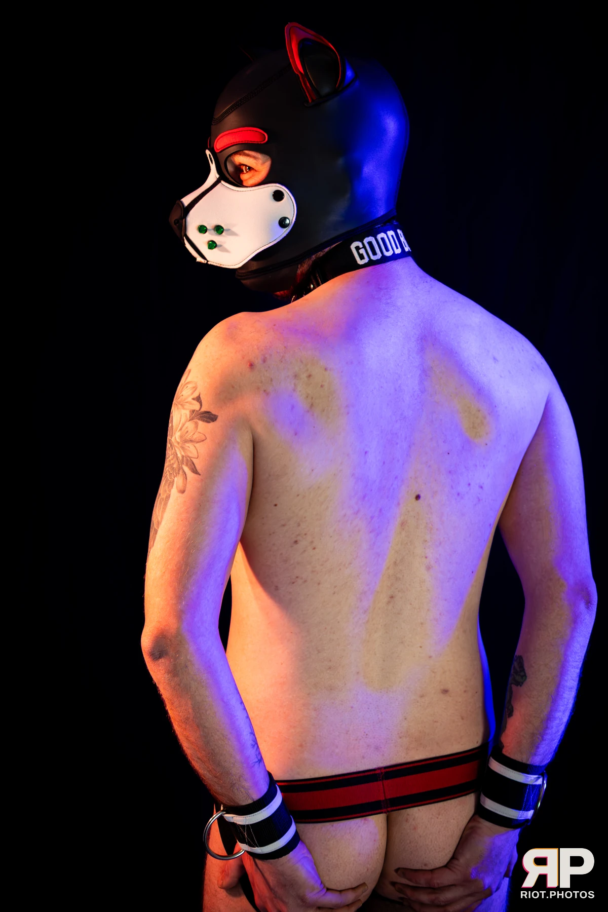 Pup Gremlin — furry & pup photography by Fluffy Riot — photo 21