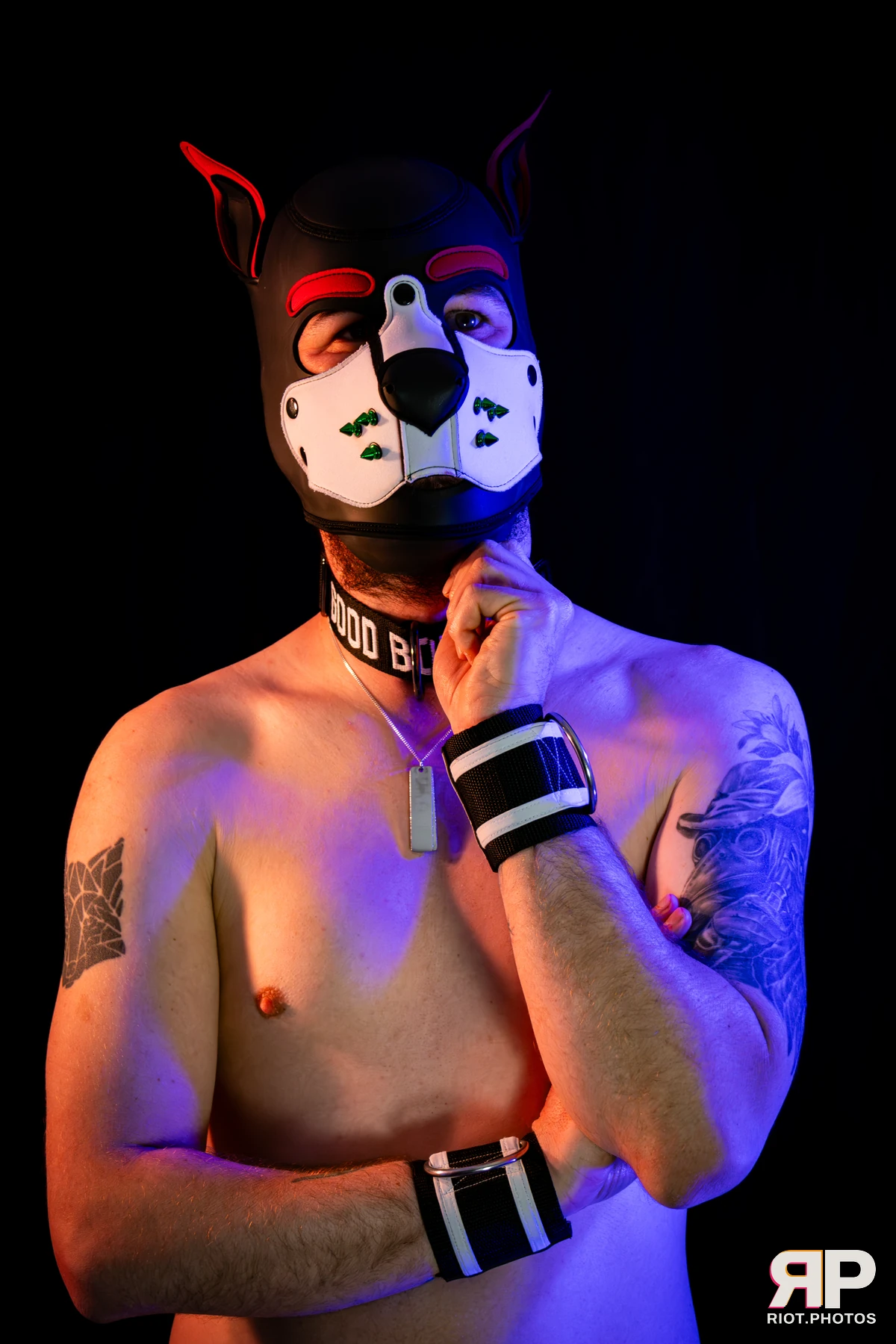 Pup Gremlin — furry & pup photography by Fluffy Riot — photo 26