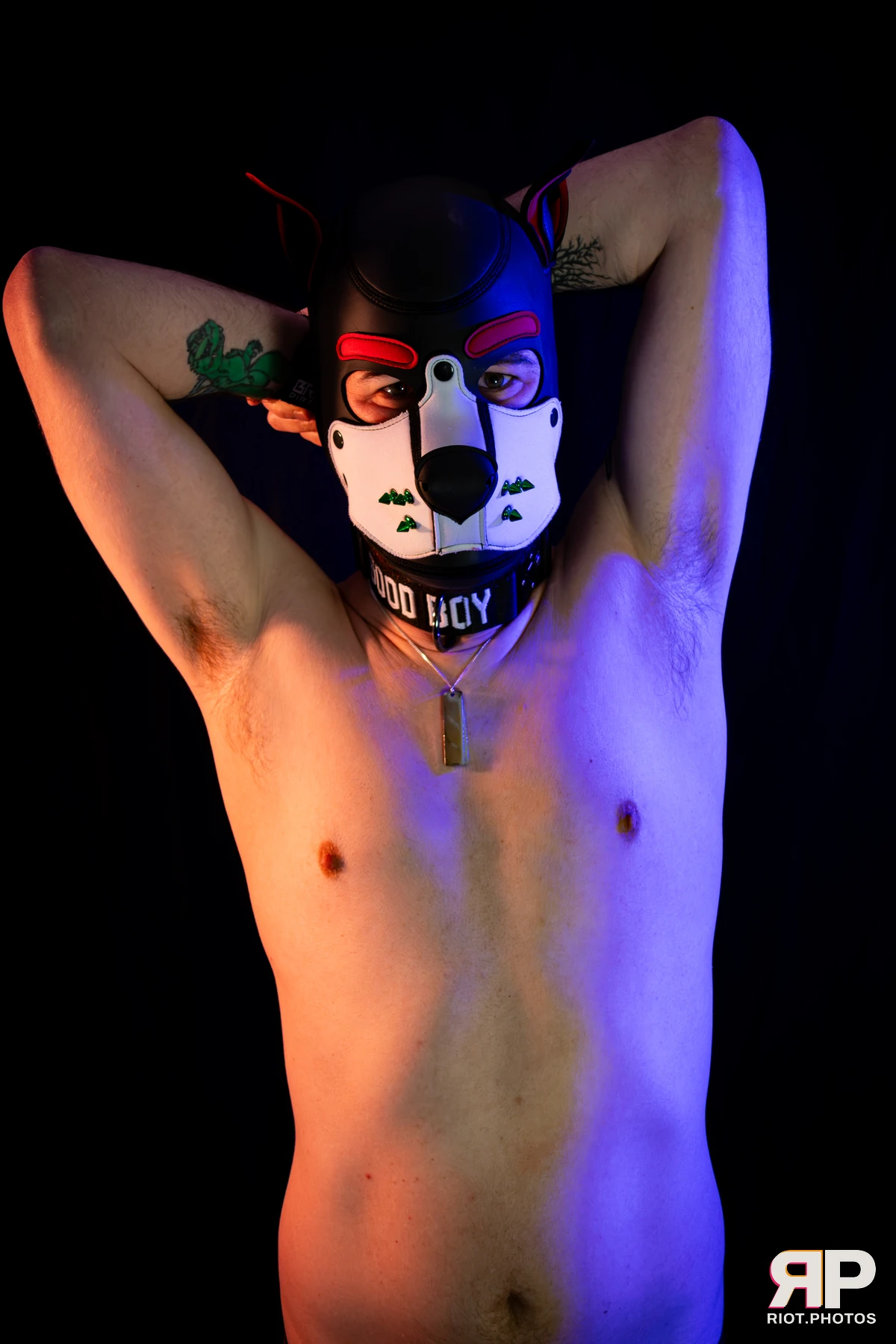Pup Gremlin — furry & pup photography by Fluffy Riot — photo 27