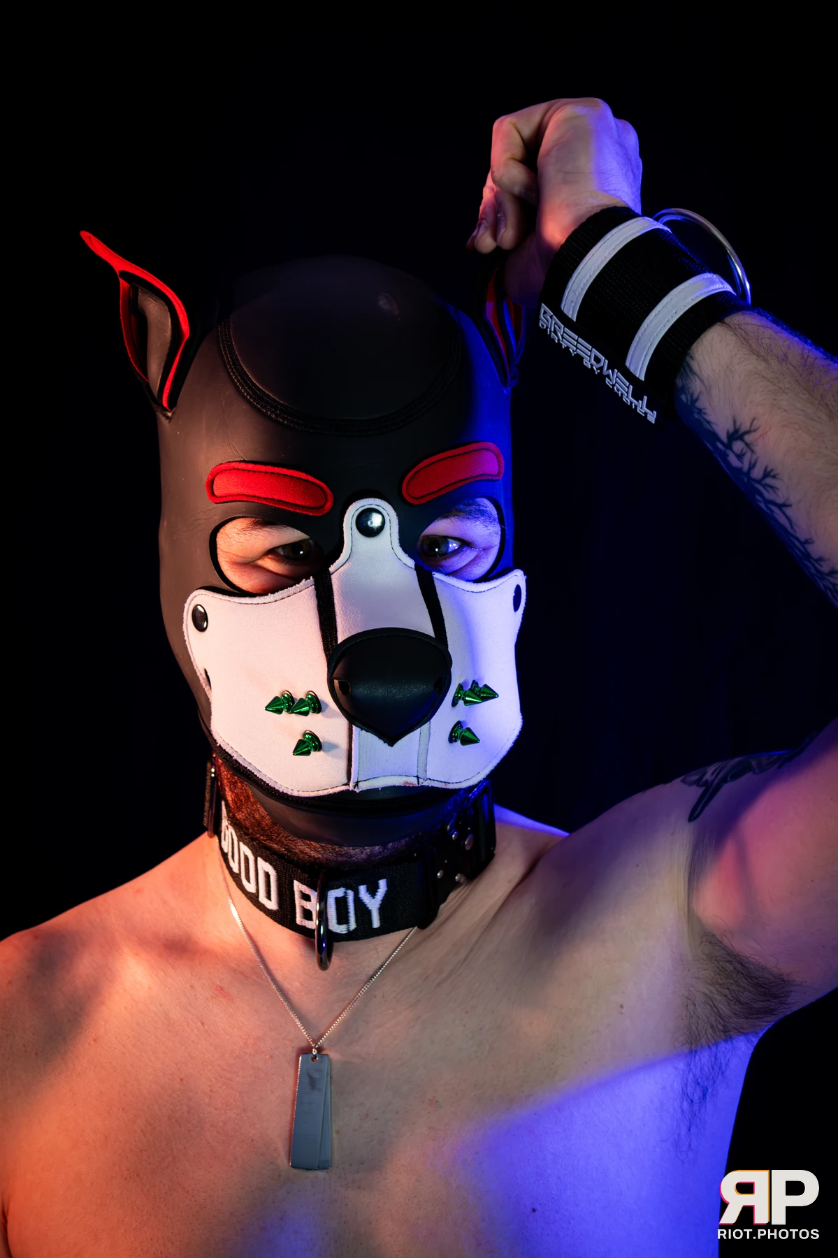Pup Gremlin — furry & pup photography by Fluffy Riot — photo 29