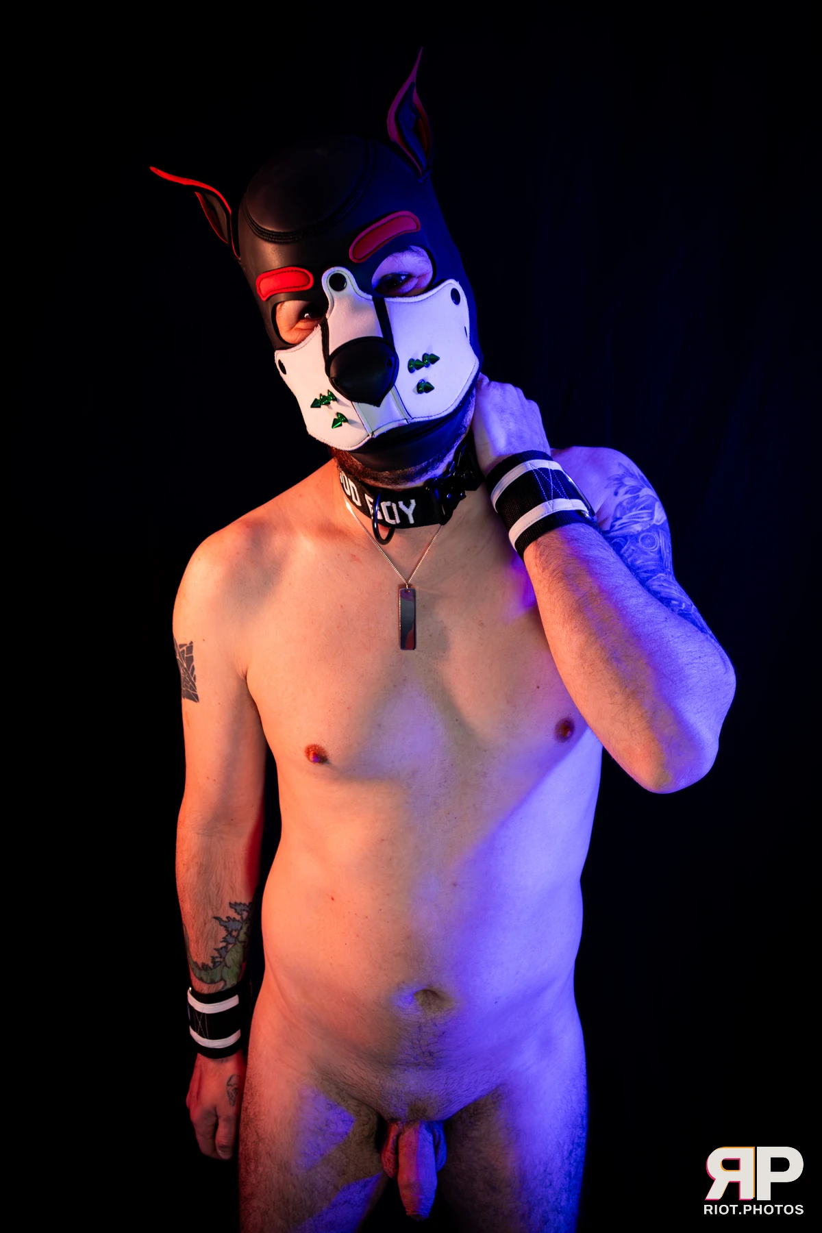 Pup Gremlin — furry & pup photography by Fluffy Riot — photo 31