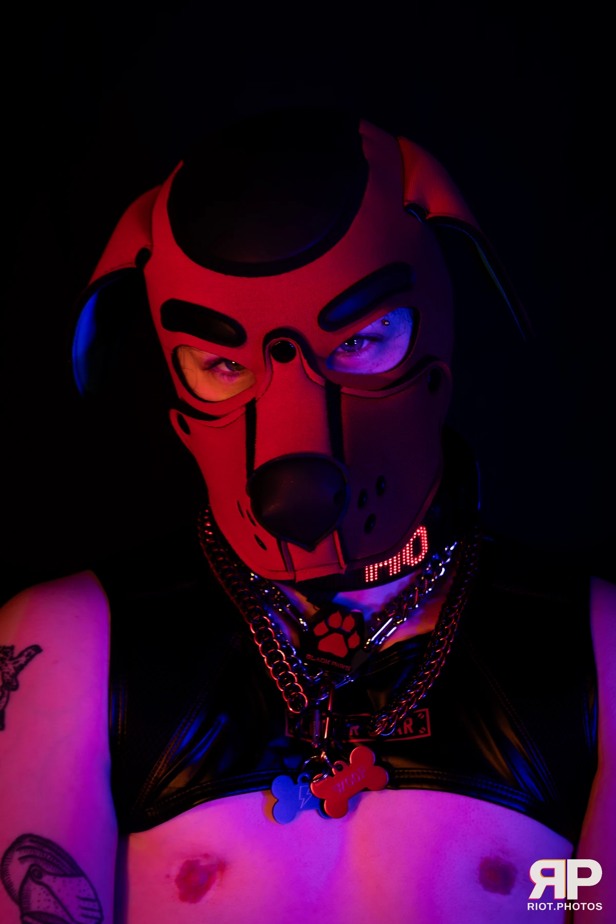 Pup Hotchkiss — furry & pup photography by Fluffy Riot — photo 2