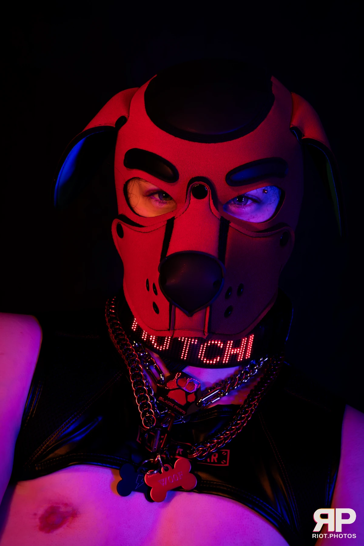 Pup Hotchkiss — furry & pup photography by Fluffy Riot — photo 3