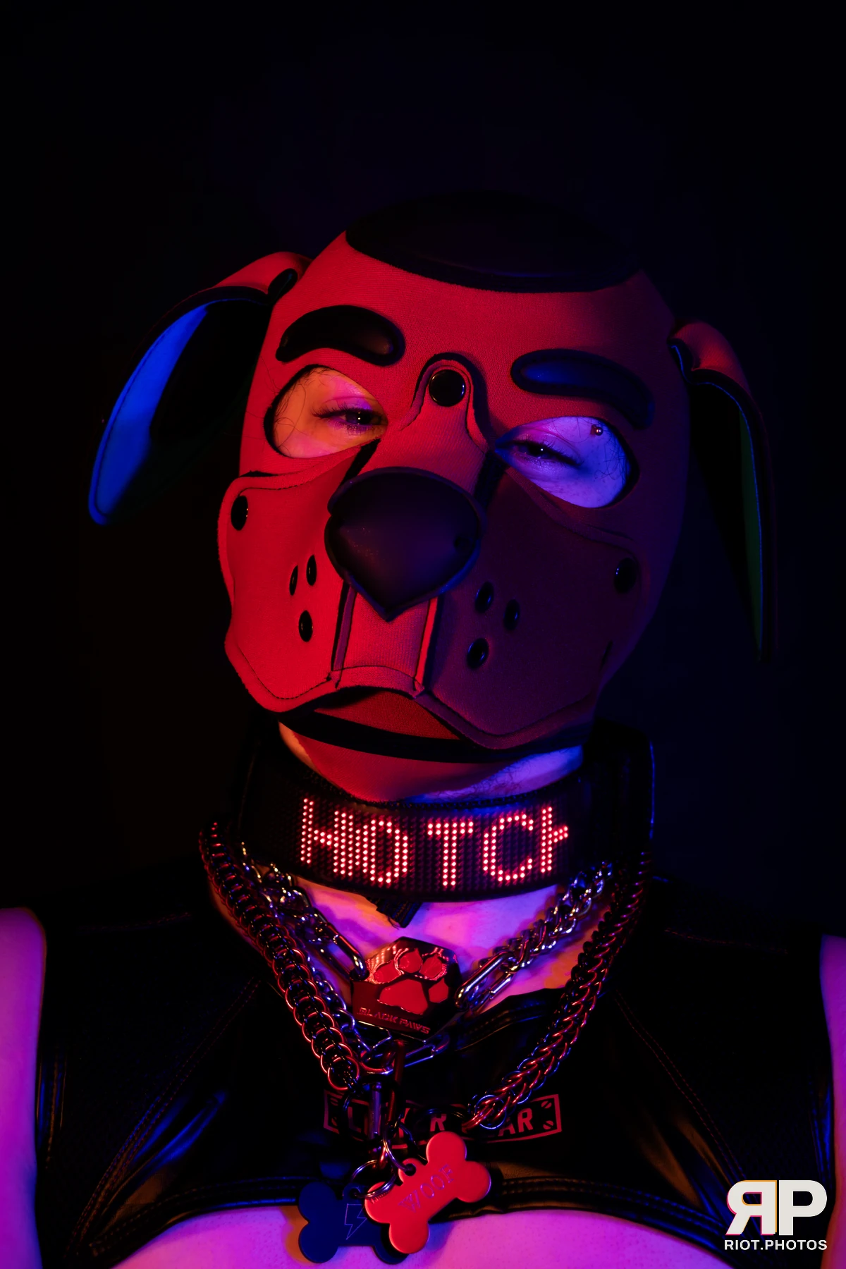 Pup Hotchkiss — furry & pup photography by Fluffy Riot — photo 4