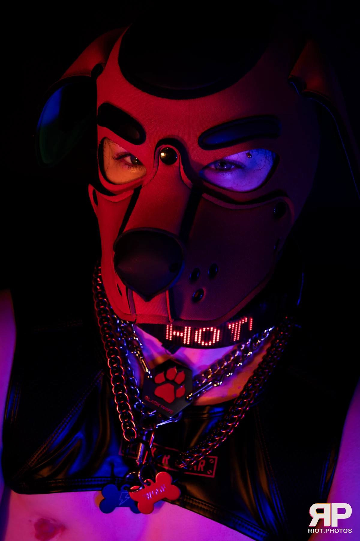 Pup Hotchkiss — furry & pup photography by Fluffy Riot — photo 5