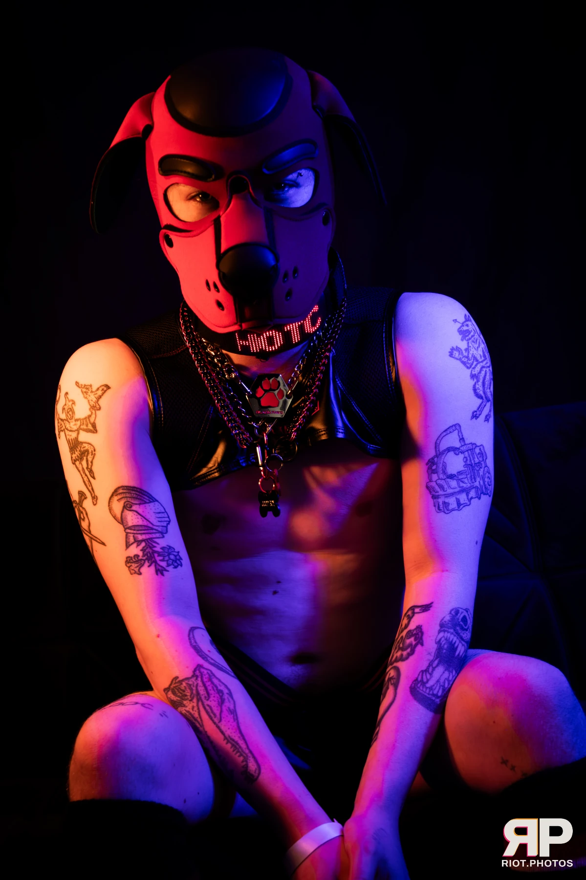 Pup Hotchkiss — furry & pup photography by Fluffy Riot — photo 8