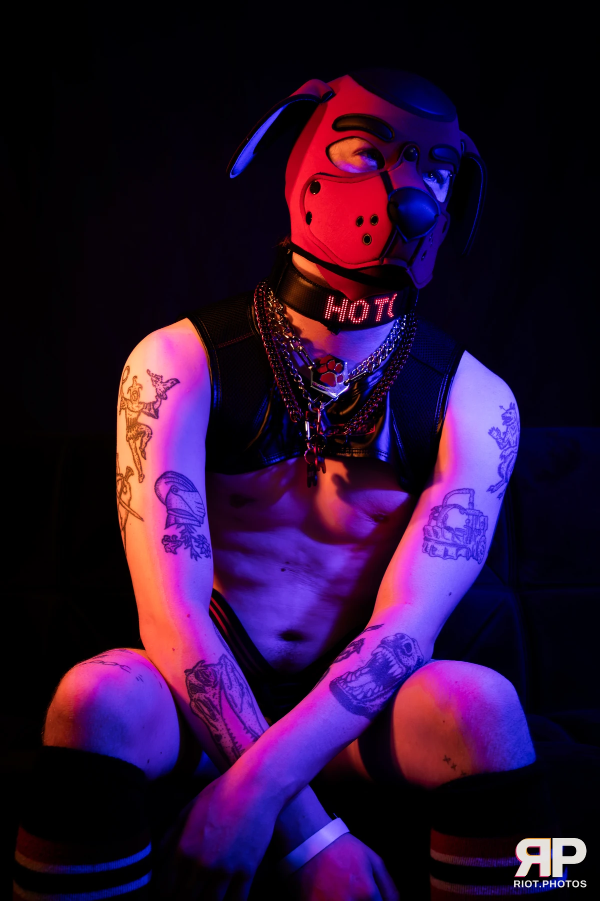 Pup Hotchkiss — furry & pup photography by Fluffy Riot — photo 9