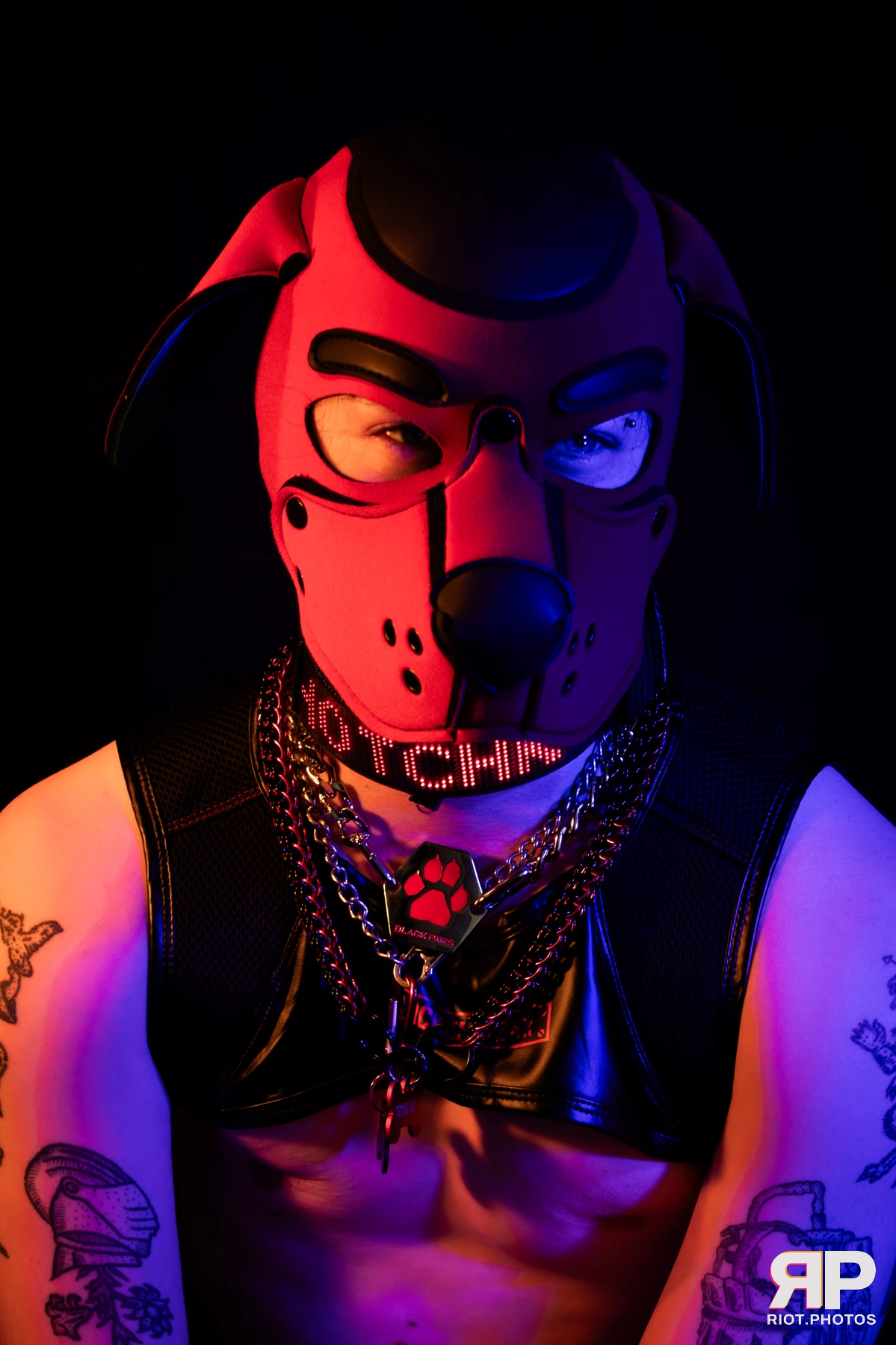 Pup Hotchkiss — furry & pup photography by Fluffy Riot — photo 10