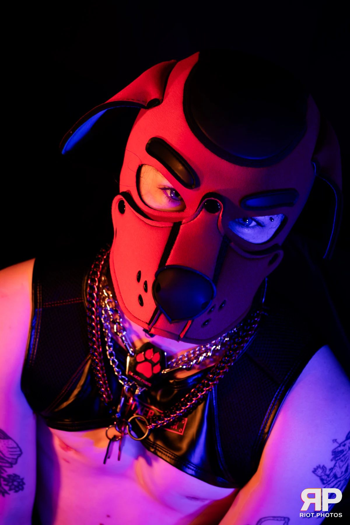 Pup Hotchkiss — furry & pup photography by Fluffy Riot — photo 11