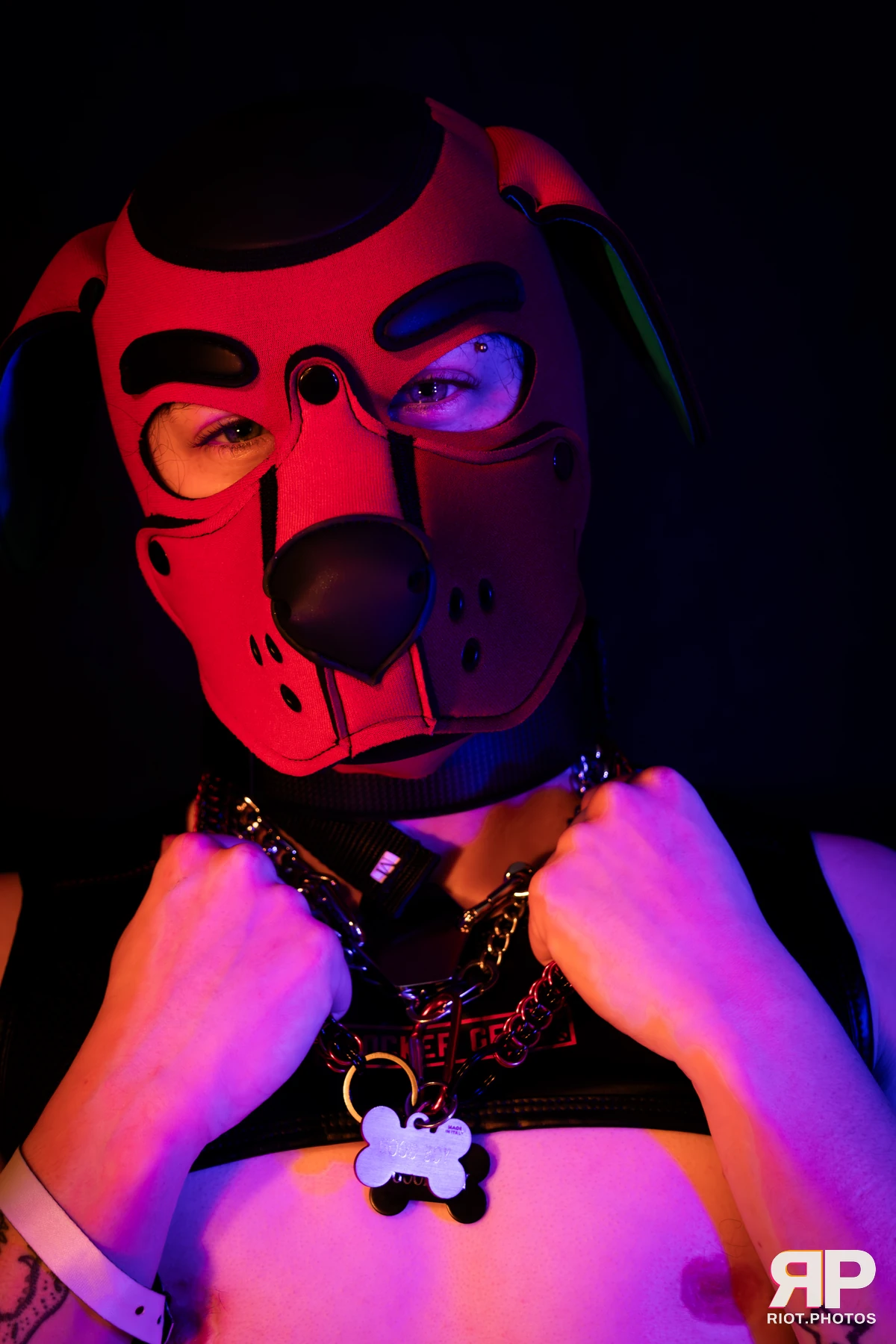 Pup Hotchkiss — furry & pup photography by Fluffy Riot — photo 14
