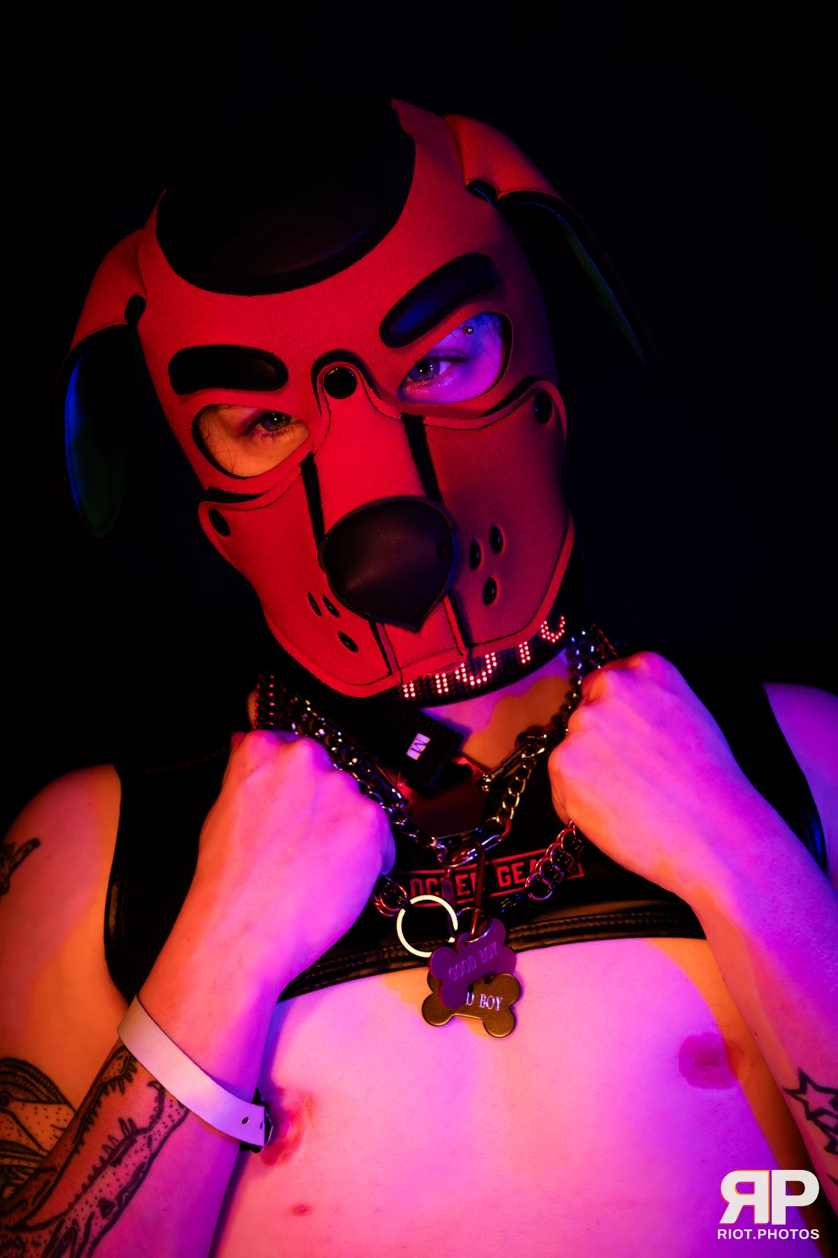 Pup Hotchkiss — furry & pup photography by Fluffy Riot — photo 15