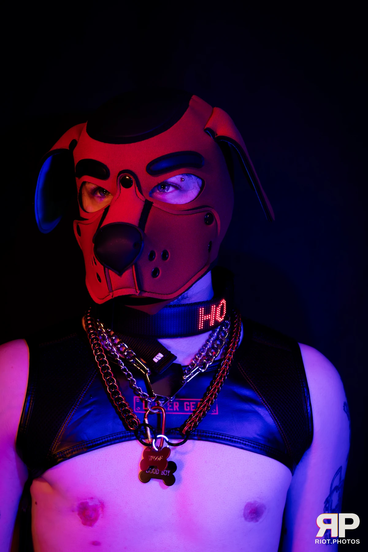 Pup Hotchkiss — furry & pup photography by Fluffy Riot — photo 16