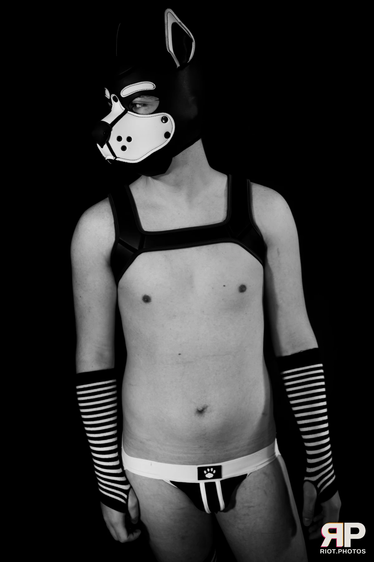 Pup Jay — furry & pup photography by Fluffy Riot — photo 1