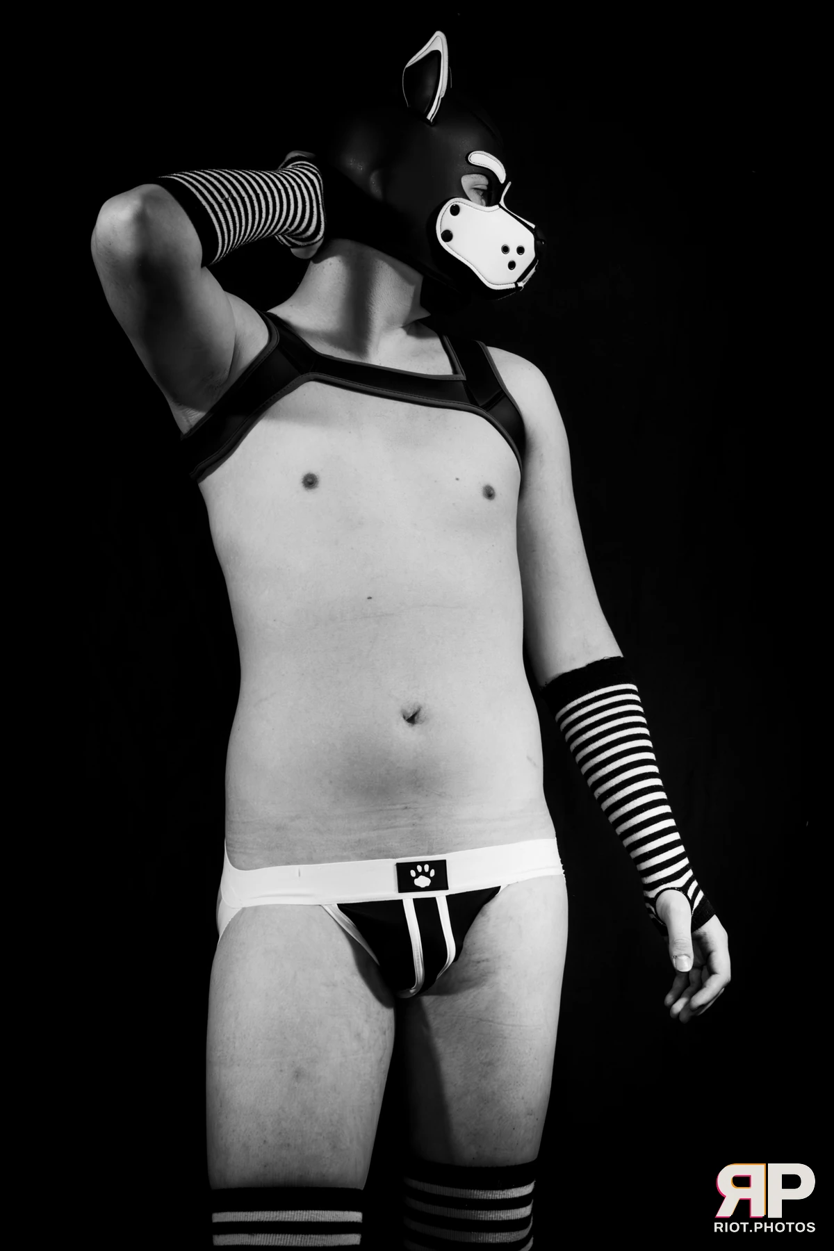 Pup Jay — furry & pup photography by Fluffy Riot — photo 2