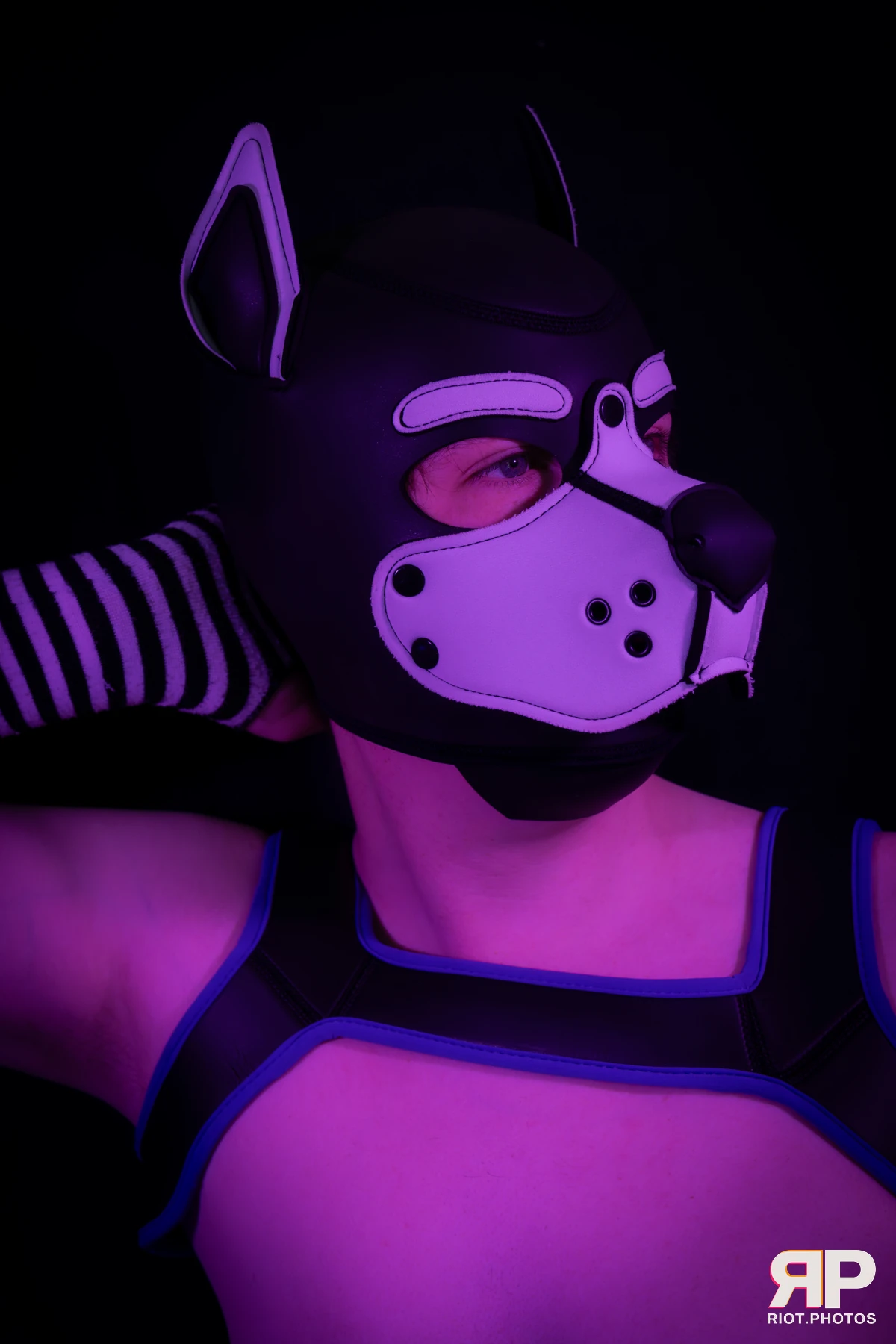 Pup Jay — furry & pup photography by Fluffy Riot — photo 6