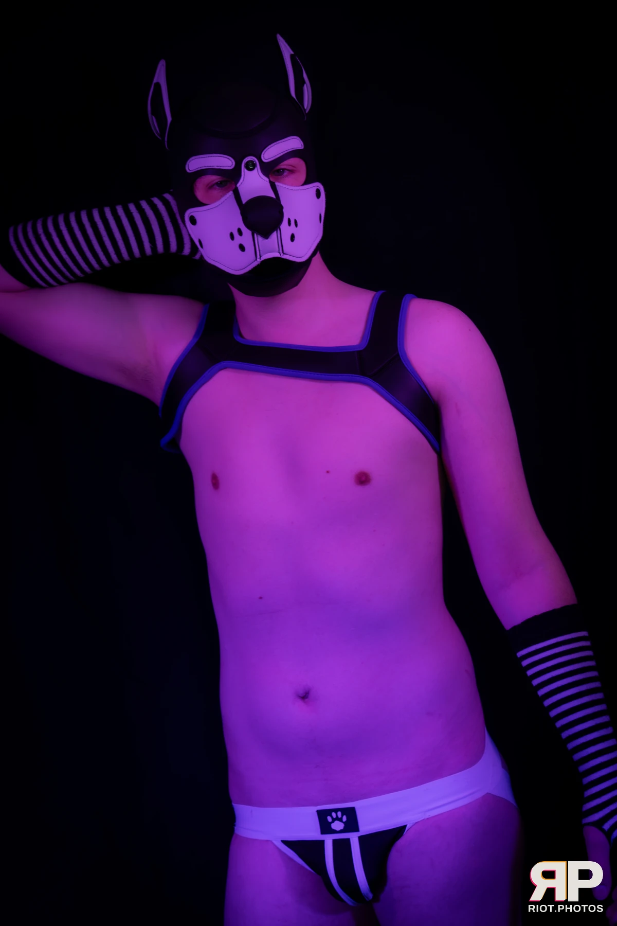 Pup Jay — furry & pup photography by Fluffy Riot — photo 7