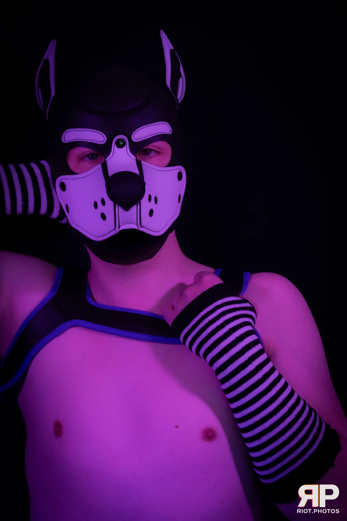 Pup Jay — furry & pup photography by Fluffy Riot — photo 8