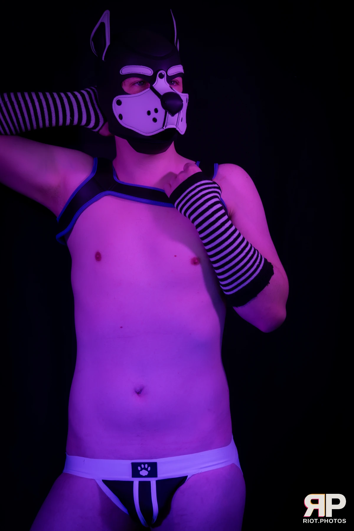 Pup Jay — furry & pup photography by Fluffy Riot — photo 10