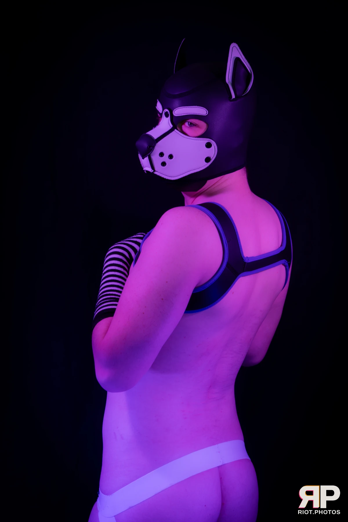 Pup Jay — furry & pup photography by Fluffy Riot — photo 13