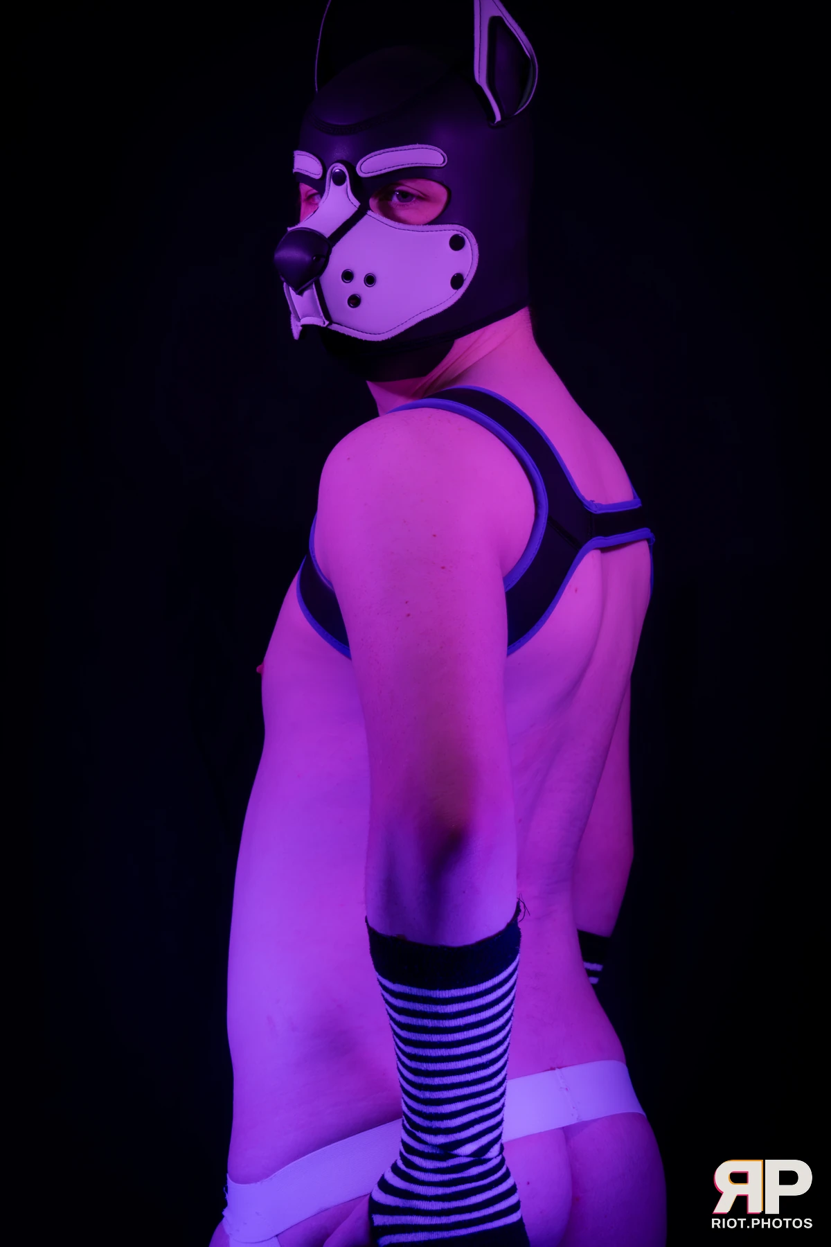Pup Jay — furry & pup photography by Fluffy Riot — photo 15