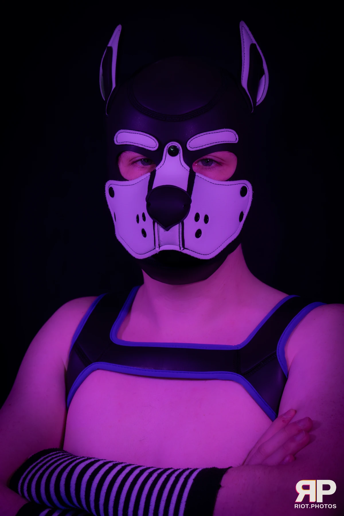 Pup Jay — furry & pup photography by Fluffy Riot — photo 16