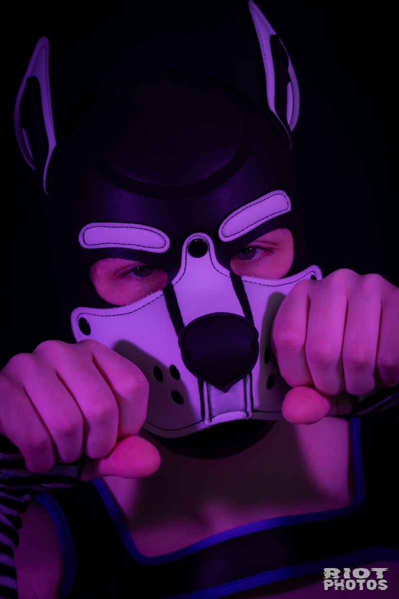 Pup Jay
