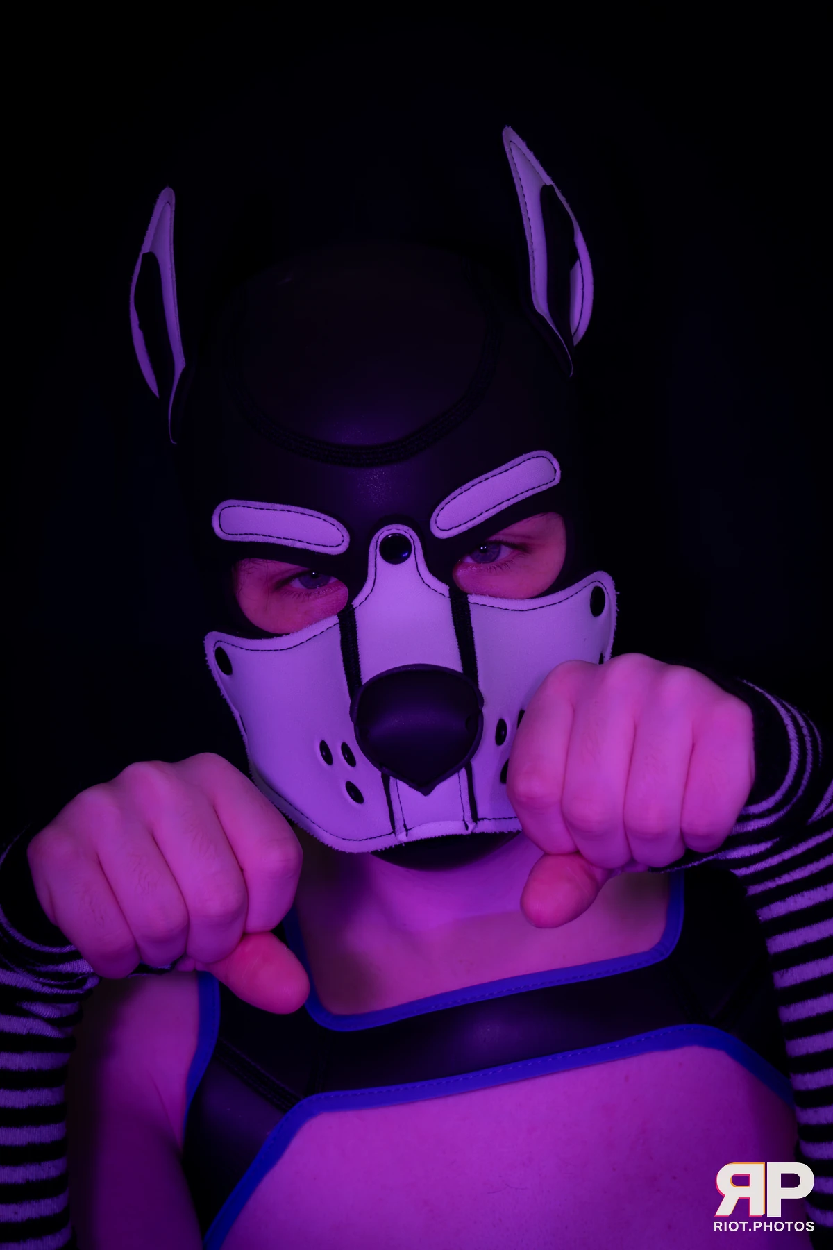 Pup Jay — furry & pup photography by Fluffy Riot — photo 18