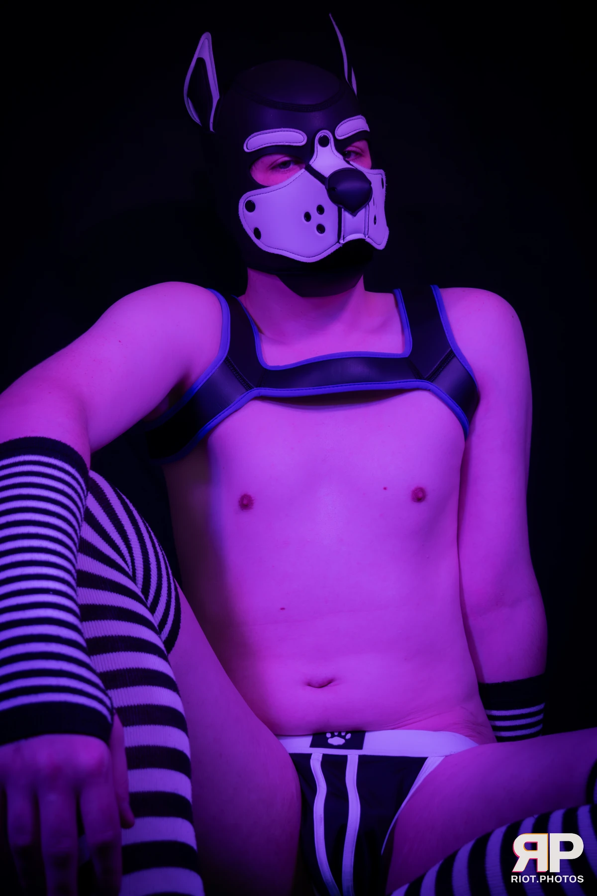Pup Jay — furry & pup photography by Fluffy Riot — photo 23