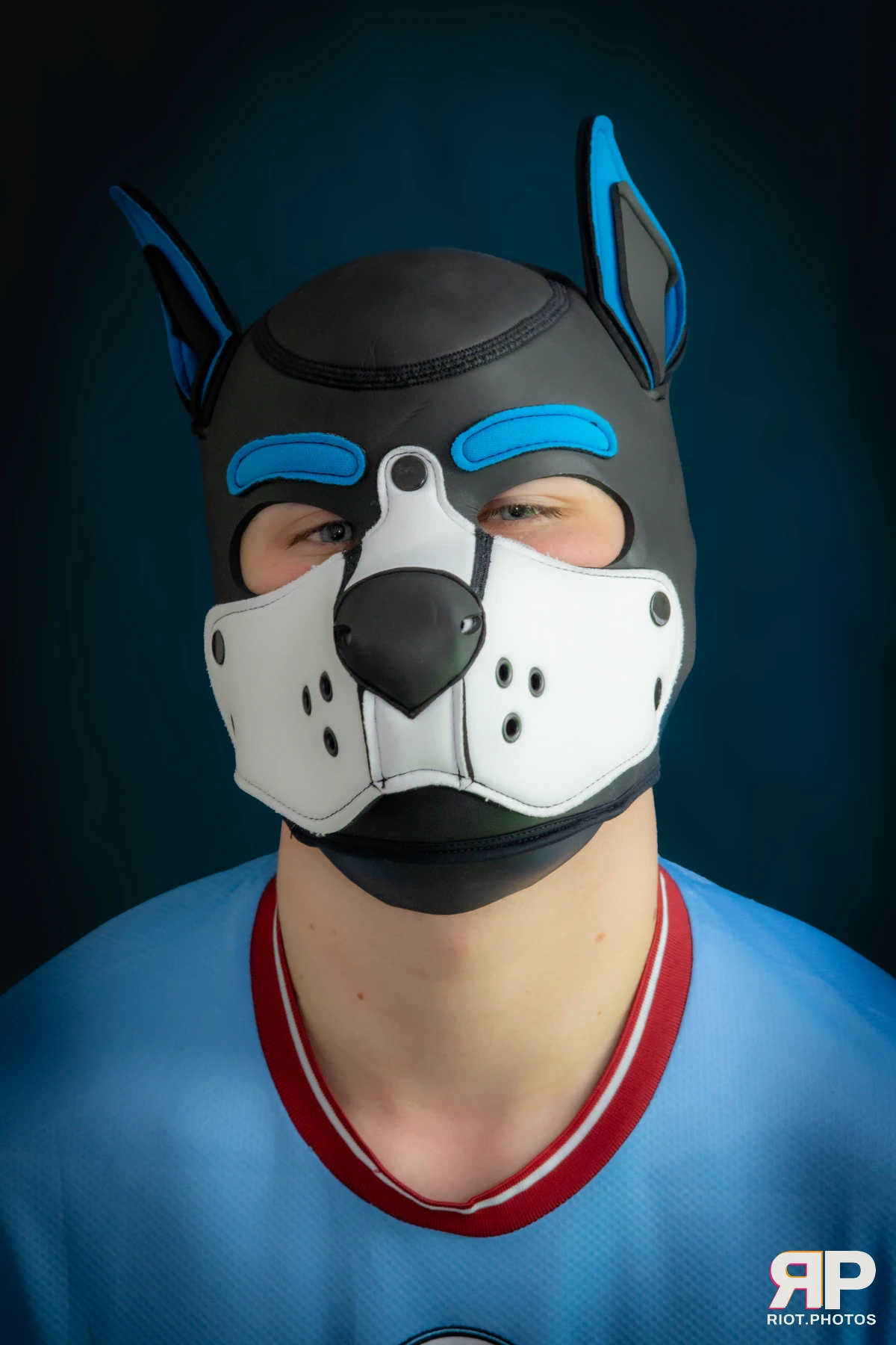 Striker — furry & pup photography by Fluffy Riot — photo 7