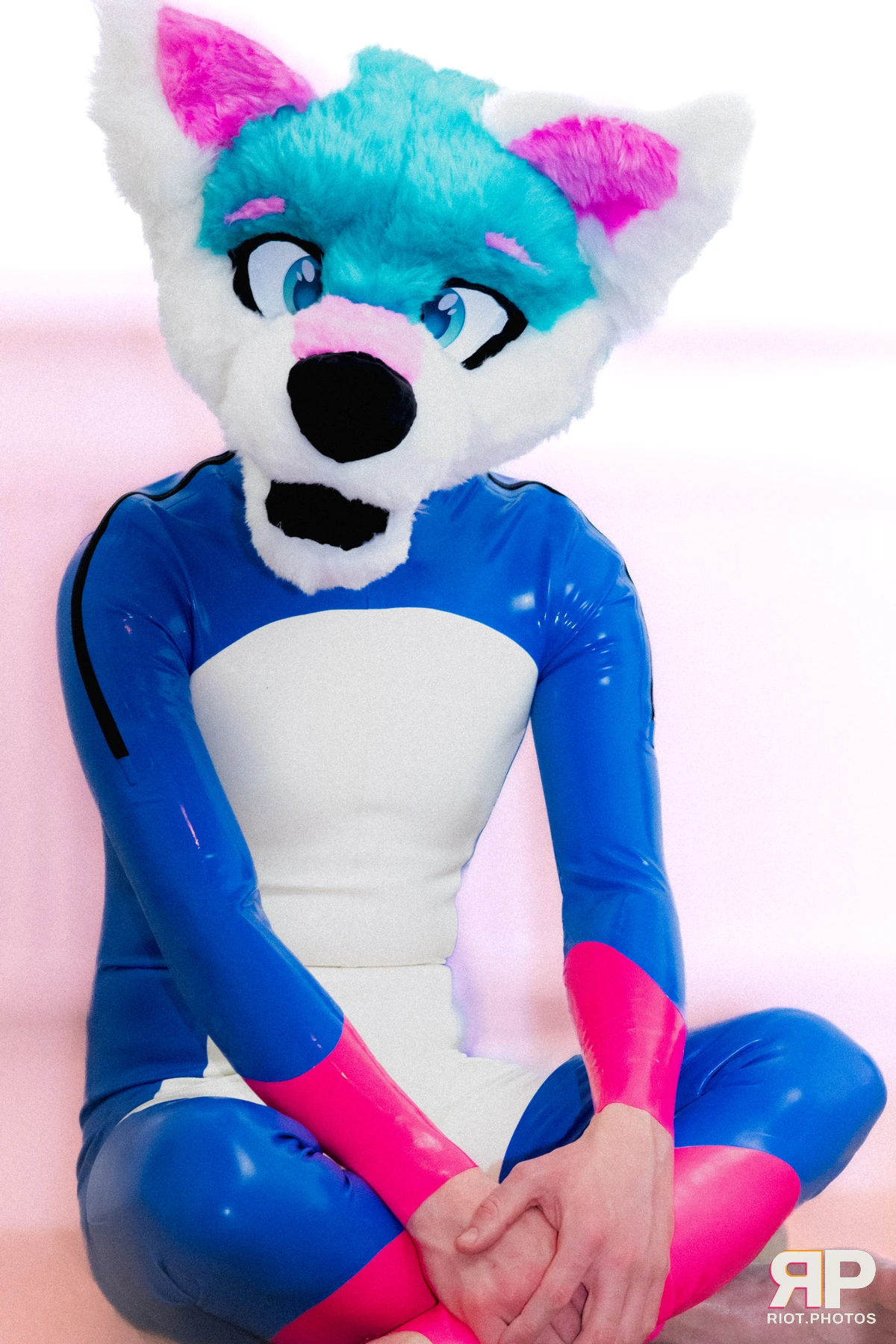 Pup Kaz — furry & pup photography by Fluffy Riot — photo 634