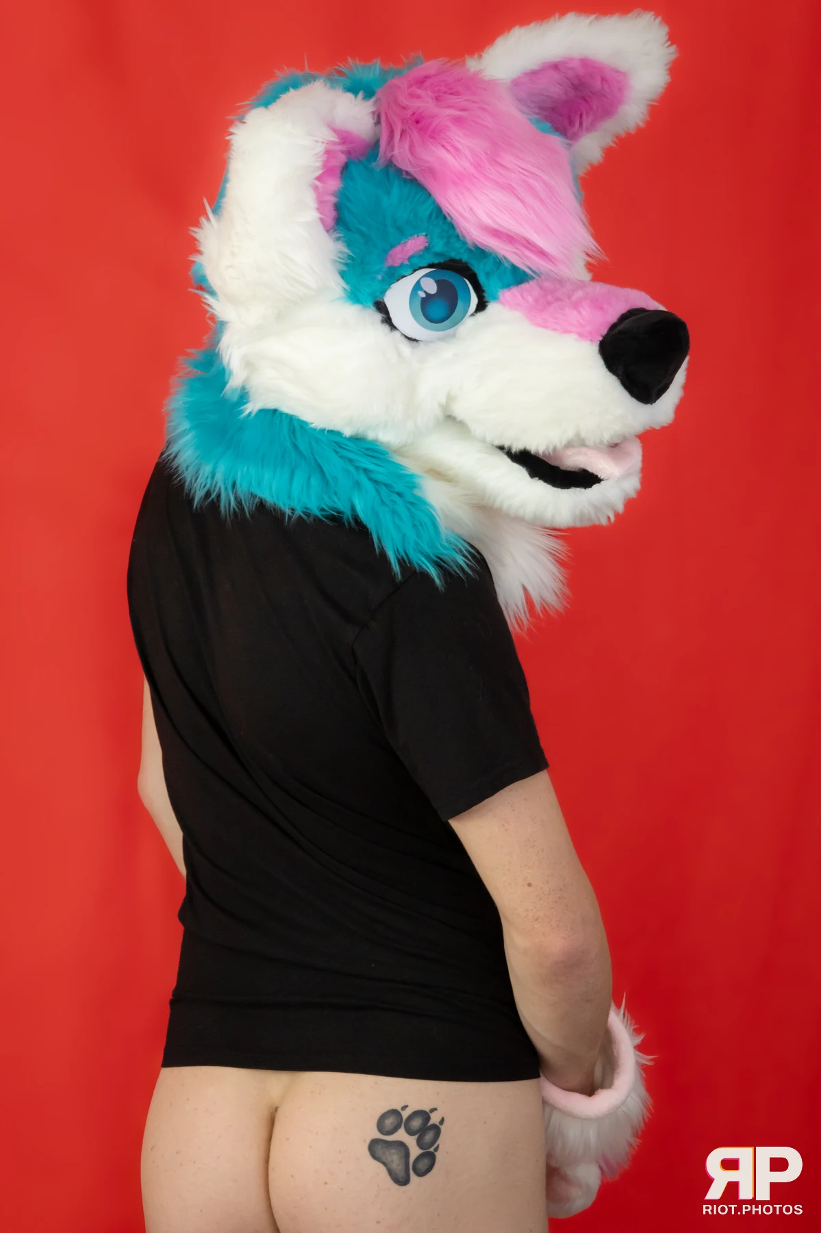 Pup Kaz — furry & pup photography by Fluffy Riot — photo 601