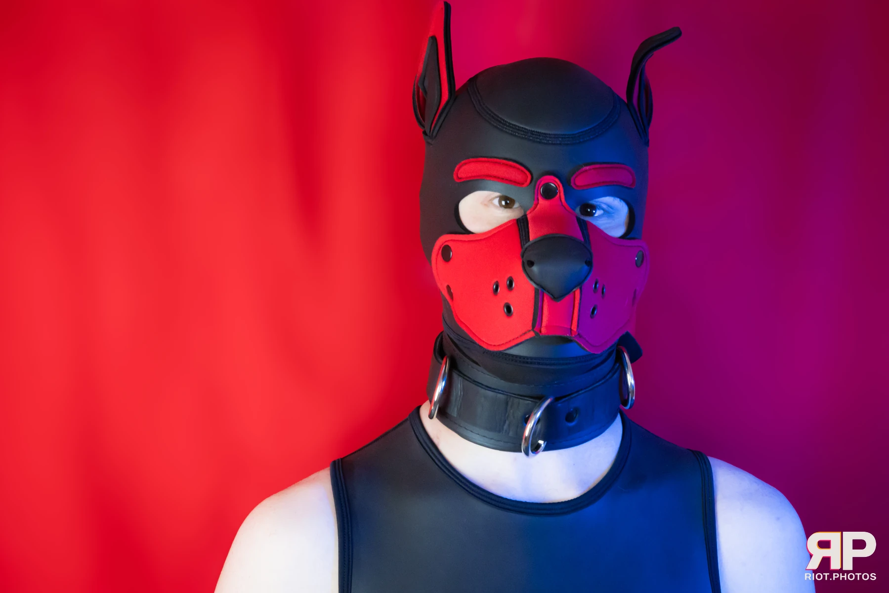 Pup Kaz — furry & pup photography by Fluffy Riot — photo 604