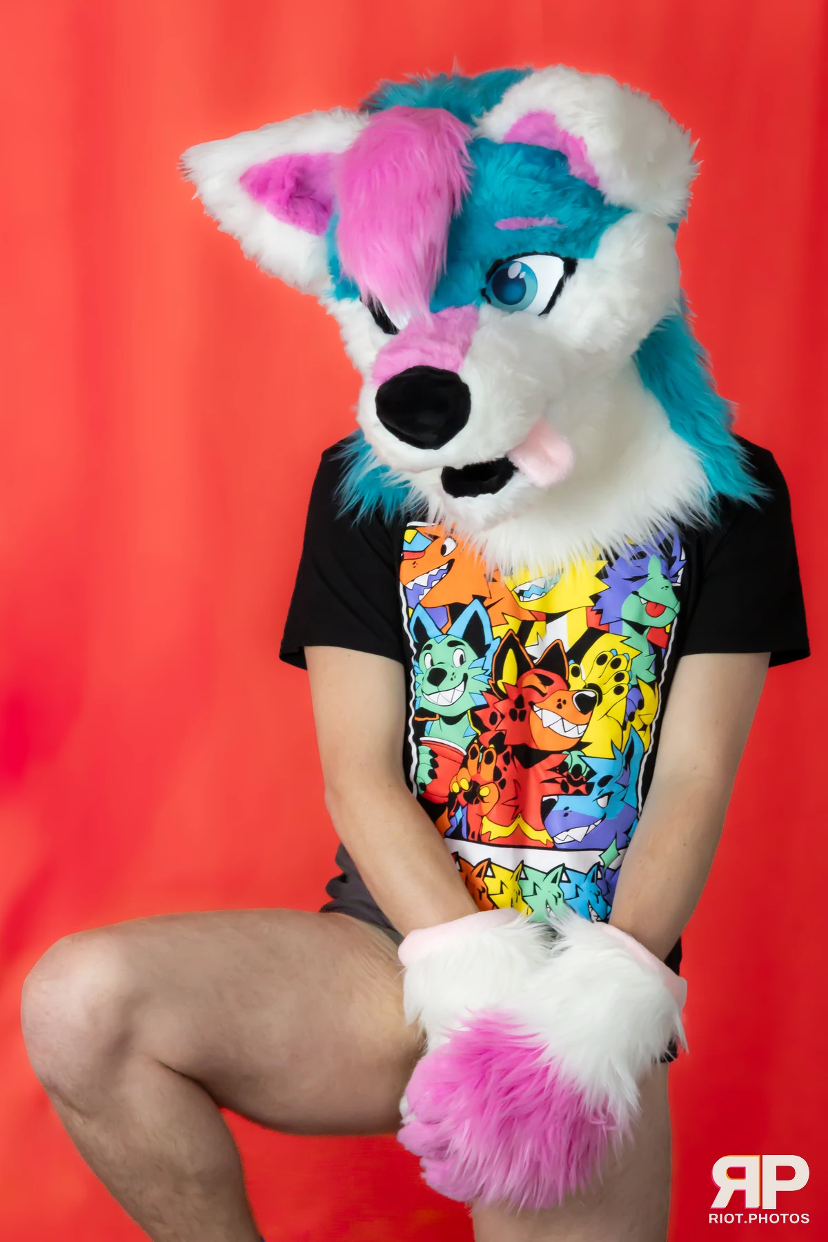 Pup Kaz — furry & pup photography by Fluffy Riot — photo 605