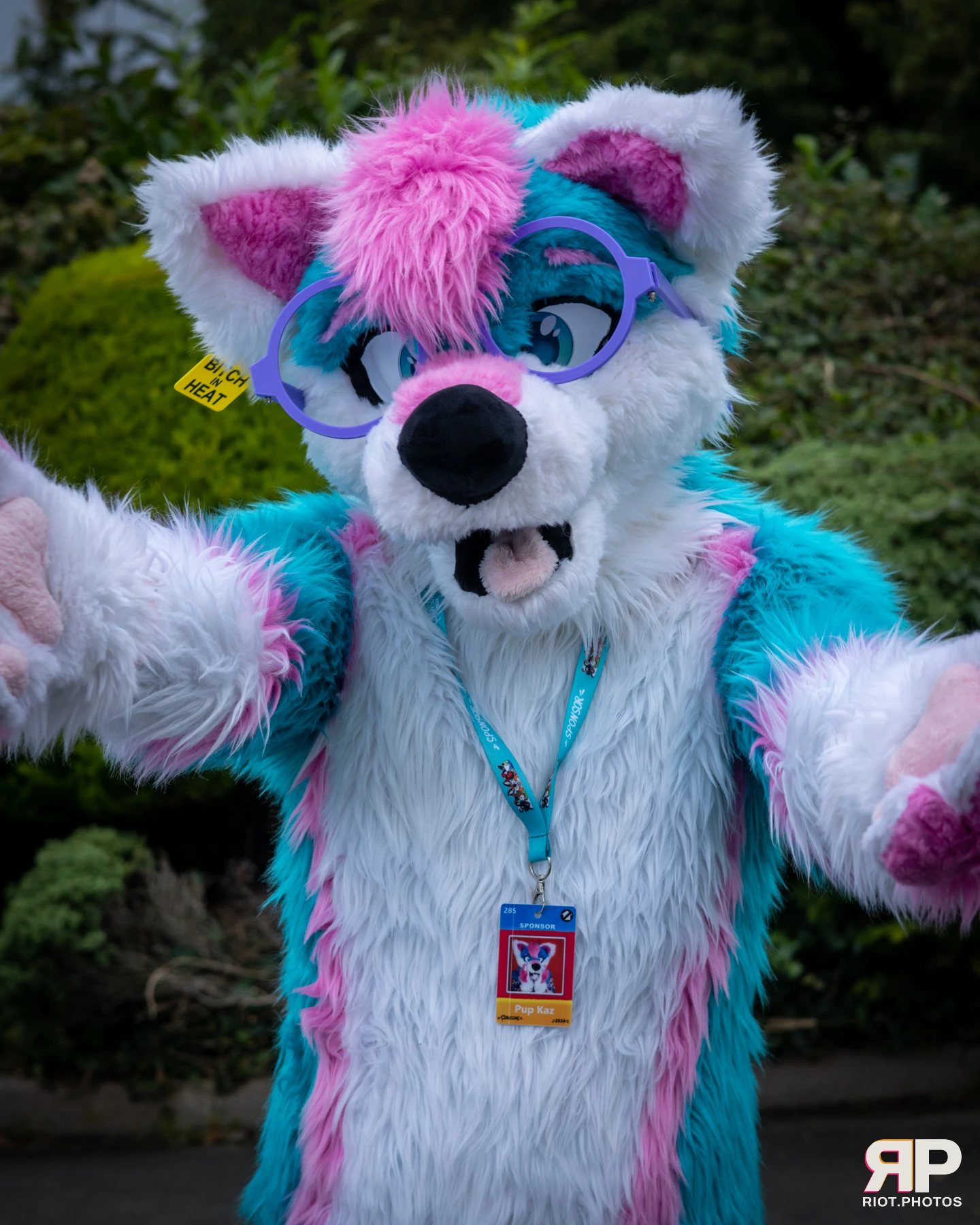 Pup Kaz — furry & pup photography by Fluffy Riot — photo 555