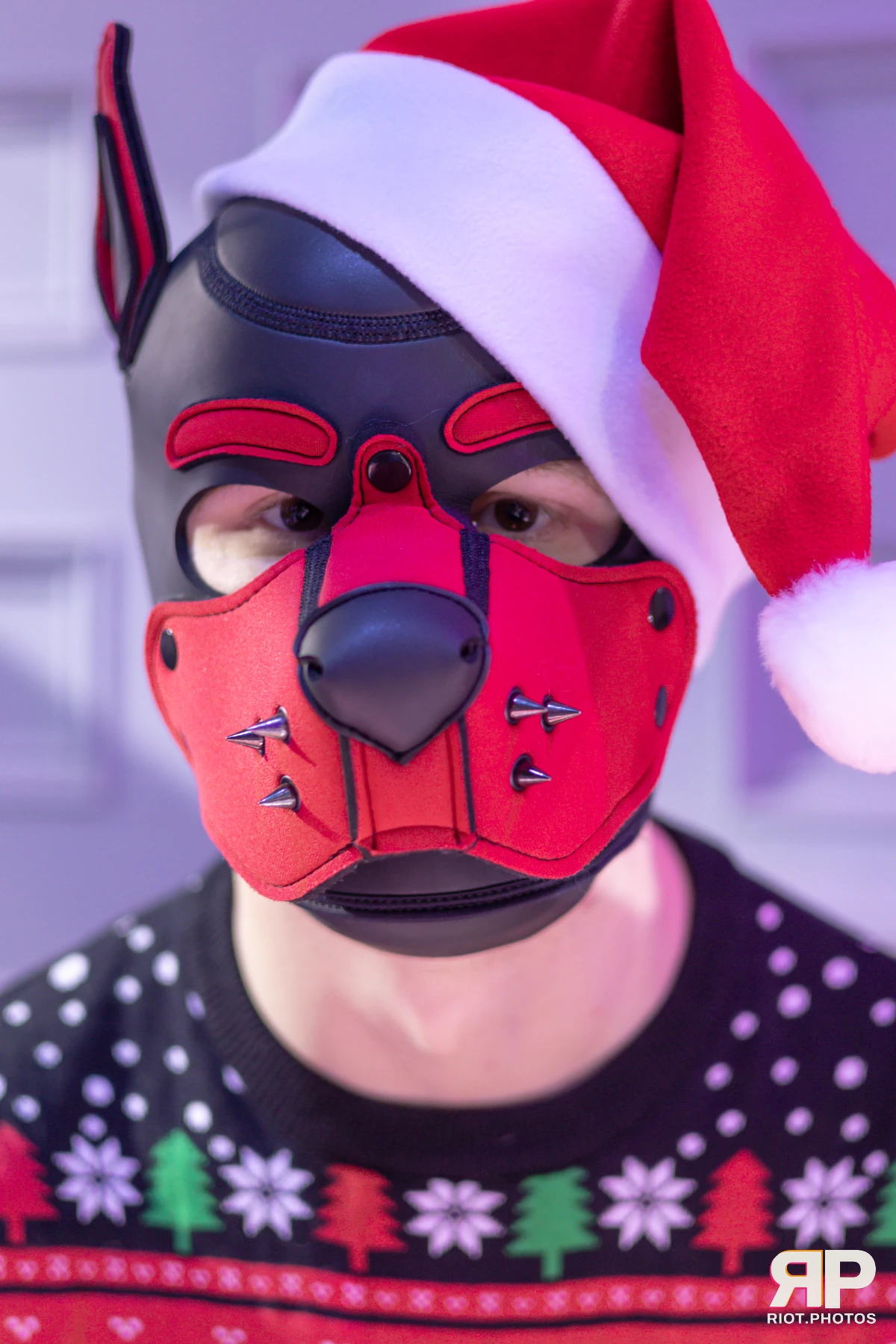 Pup Kaz — furry & pup photography by Fluffy Riot — photo 545